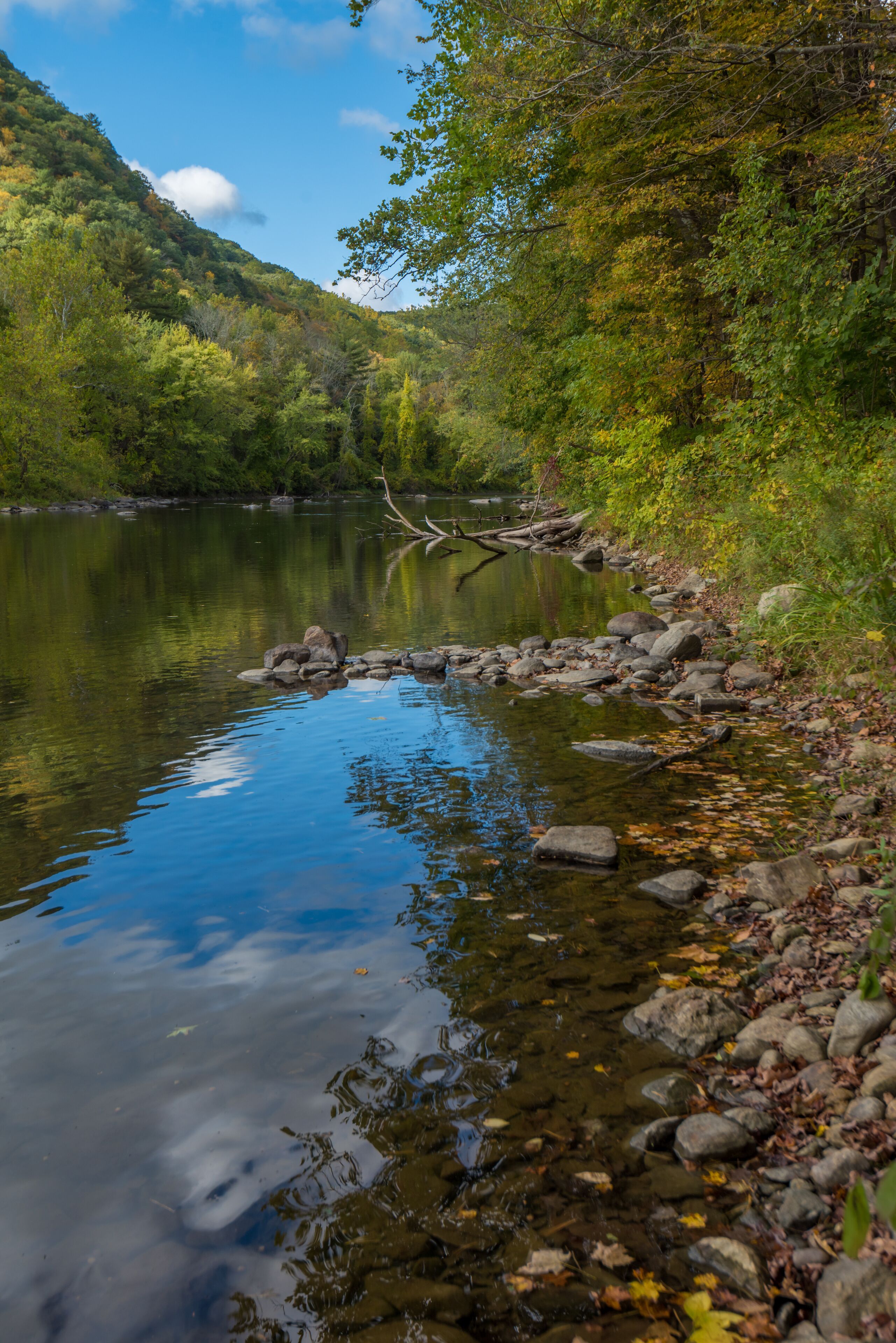 Scenic wooded river in Deep River, Connecticut, featuring calm reflective water, a rocky shoreline, fallen branches, and lush green trees along a peaceful natural landscape.