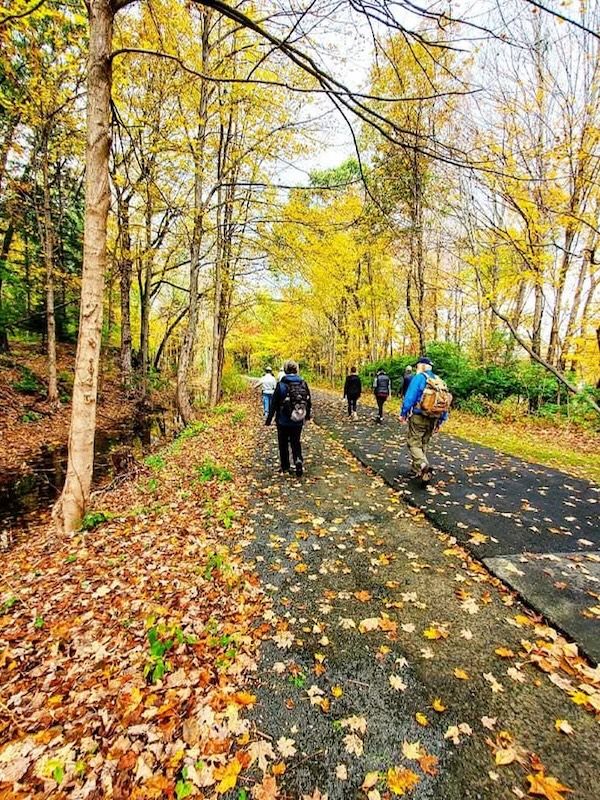 People walking along a tree-lined trail in Farmington, Connecticut during fall, surrounded by vibrant yellow and orange foliage on the Farmington Canal Heritage Trail.