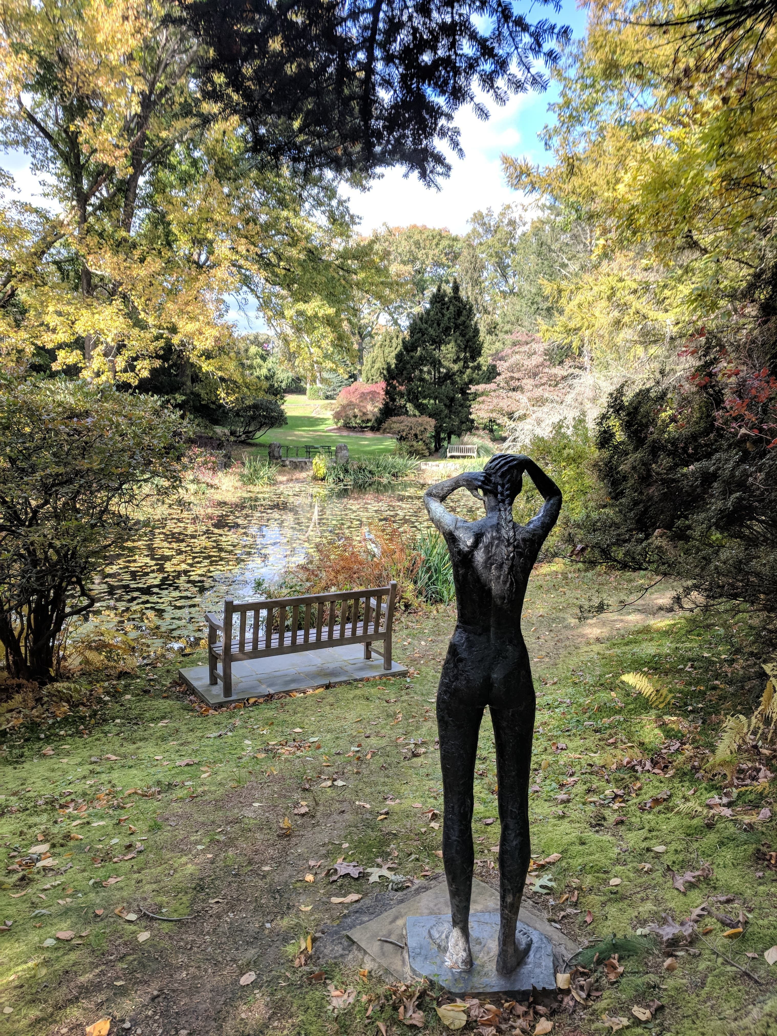 A bronze sculpture overlooking a peaceful garden pond at the Bruce Museum Seaside Center and surrounding gardens in Greenwich, Connecticut. The landscaped setting features mature trees, colorful foliage, a wooden bench, and tranquil water covered with lily pads, creating a serene outdoor retreat.