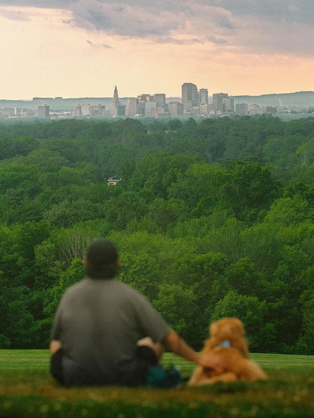 Scenic view from Case Mountain in Manchester, Connecticut, overlooking the Hartford skyline as a person relaxes on the hillside with a dog during a peaceful evening.