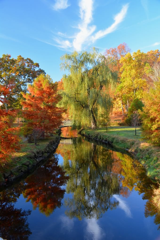 A tranquil autumn view of Binney Park in Old Greenwich, Connecticut, with colorful fall foliage, a willow tree, a peaceful stream reflecting the surrounding landscape, and a small footbridge in the distance.