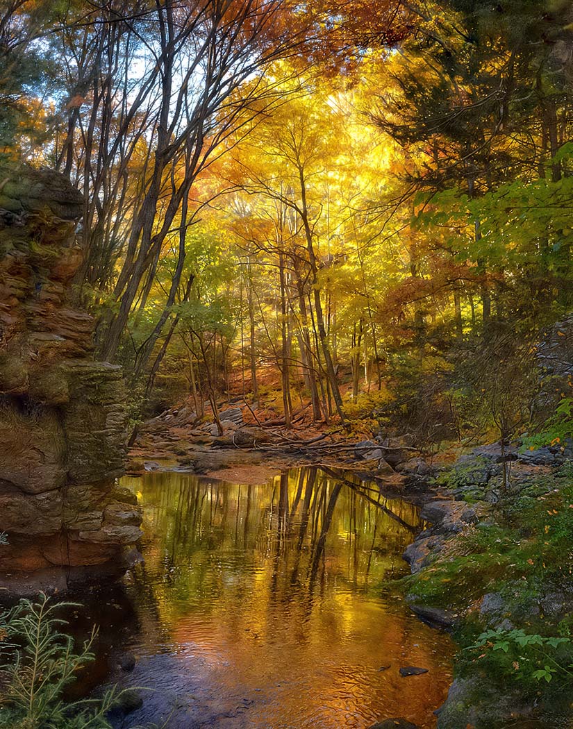 Peaceful woodland stream surrounded by rocky banks and golden autumn foliage in South Glastonbury, Connecticut, highlighting the natural beauty of the area's wooded landscapes.
