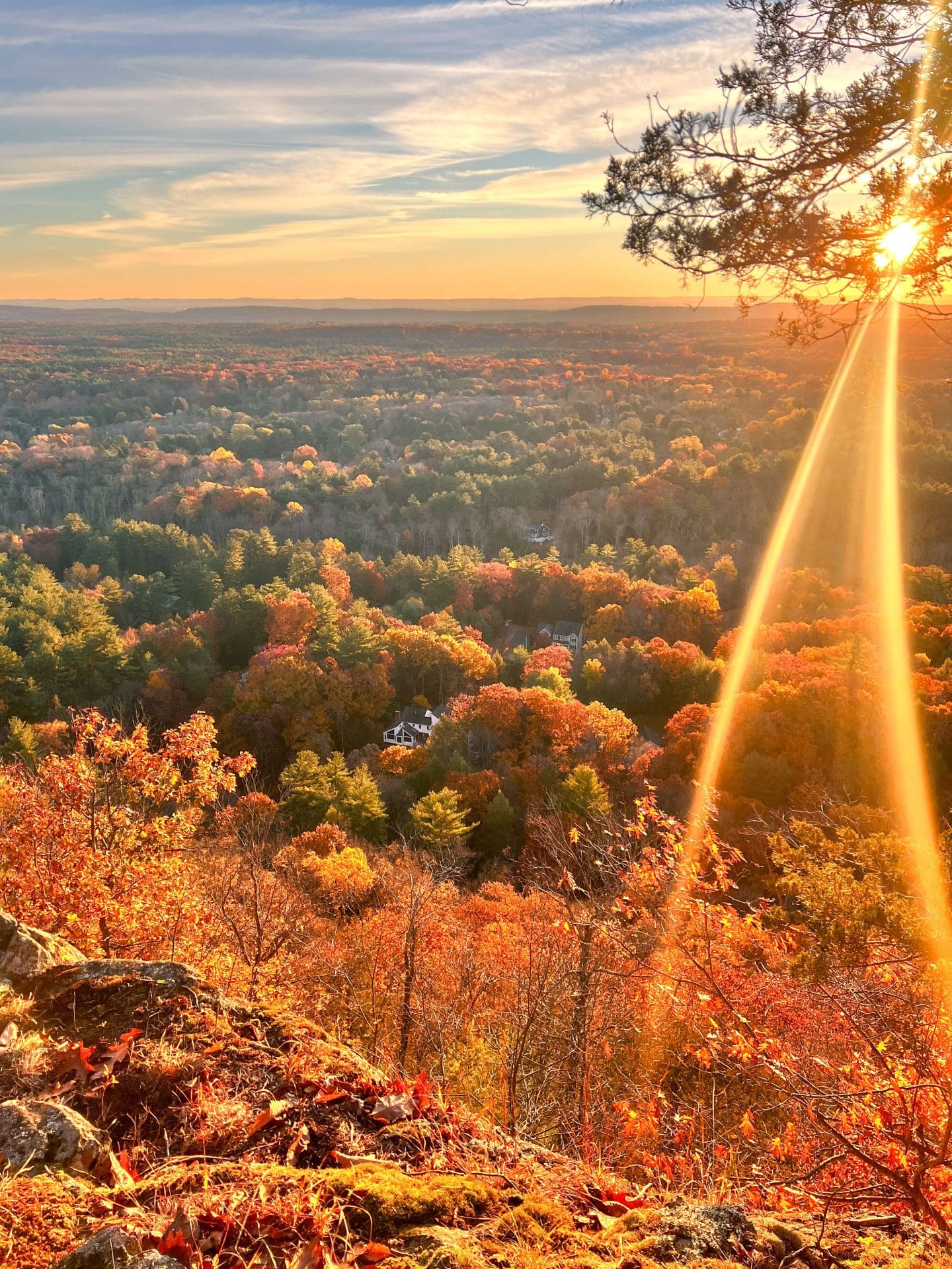 Golden-hour panoramic view of the Farmington Valley near West Simsbury, Connecticut, featuring expansive forests covered in vibrant red, orange, and yellow autumn foliage. Warm sunset rays shine through pine branches over rolling wooded hills, scattered homes, and a rocky overlook surrounded by colorful fall leaves.