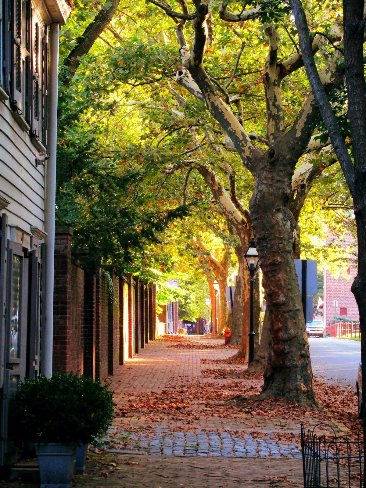 Tree-lined cobblestone street in Historic New Castle, DE featuring colonial homes, brick sidewalks, and warm sunlight filtering through autumn foliage