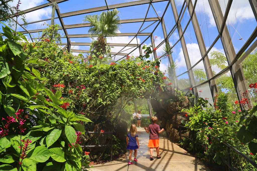 Visitors walking through a lush tropical greenhouse filled with colorful flowers and free-flying butterflies at Butterfly World in Coconut Creek, FL