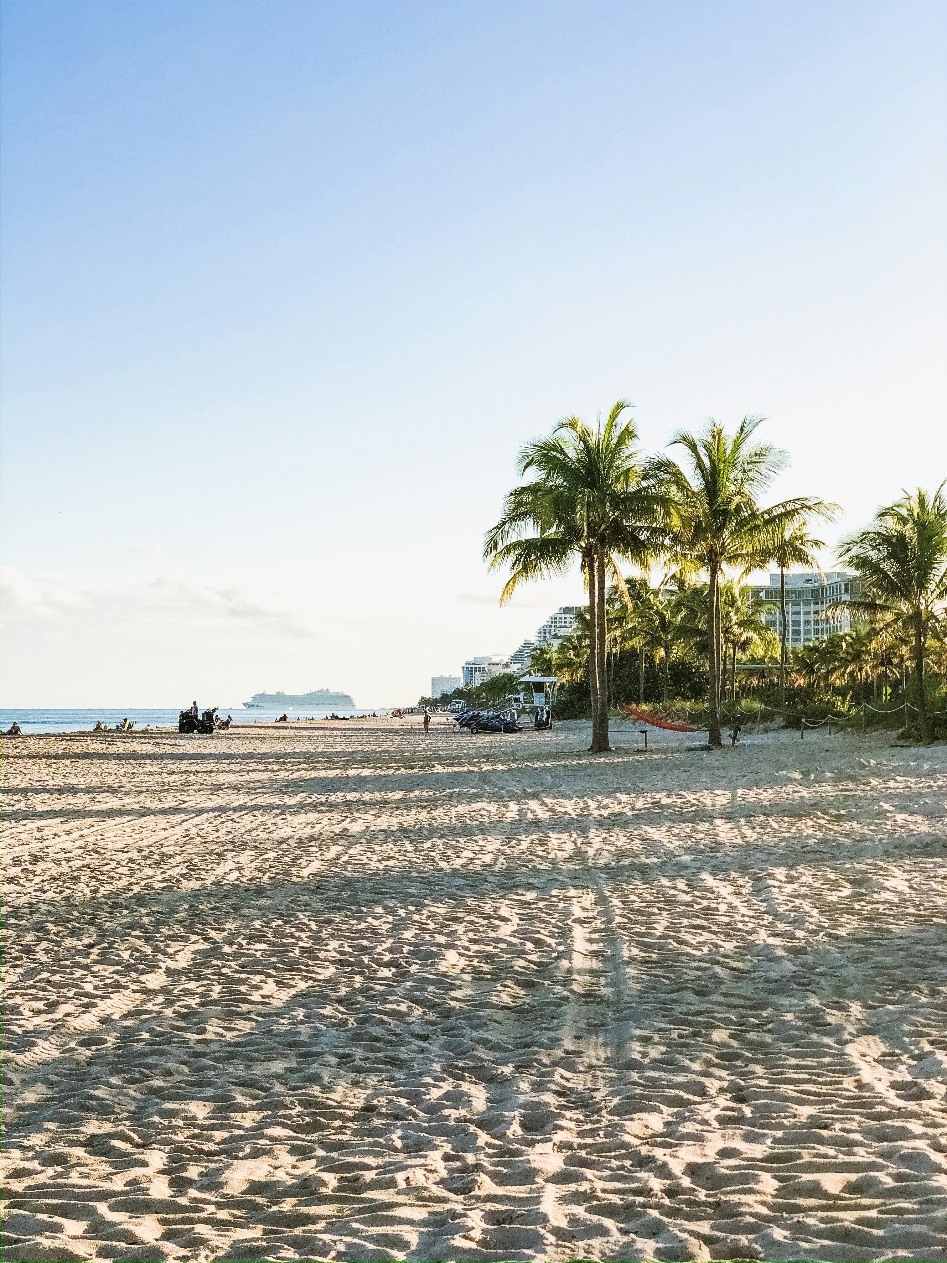 Pristine white sand beach in Fort Lauderdale, FL with a single palm tree and calm Atlantic Ocean shoreline