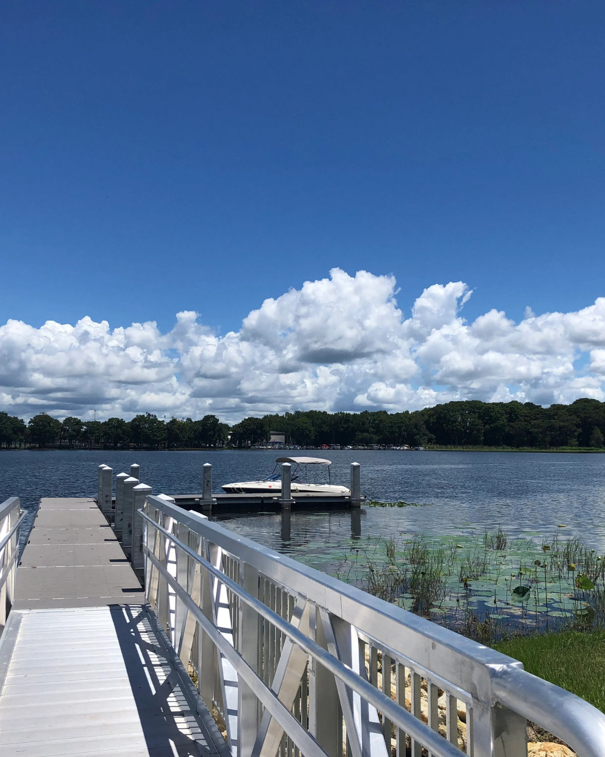 Aluminum dock extending into Lake Harris in Leesburg, Florida, with a small motorboat moored at the end and lily pads floating near the grassy shoreline.