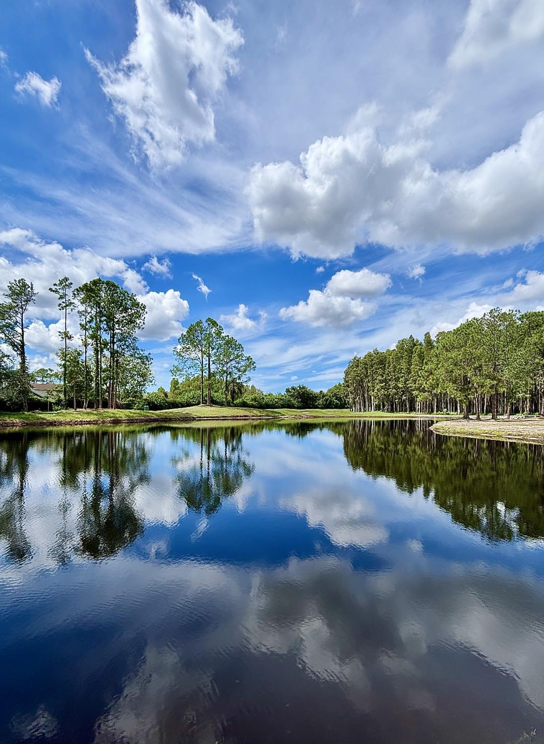 Scenic lake view in Lutz, Florida, featuring calm reflective water, tall pine trees, lush greenery, and dramatic white clouds stretching across a bright blue Florida sky.