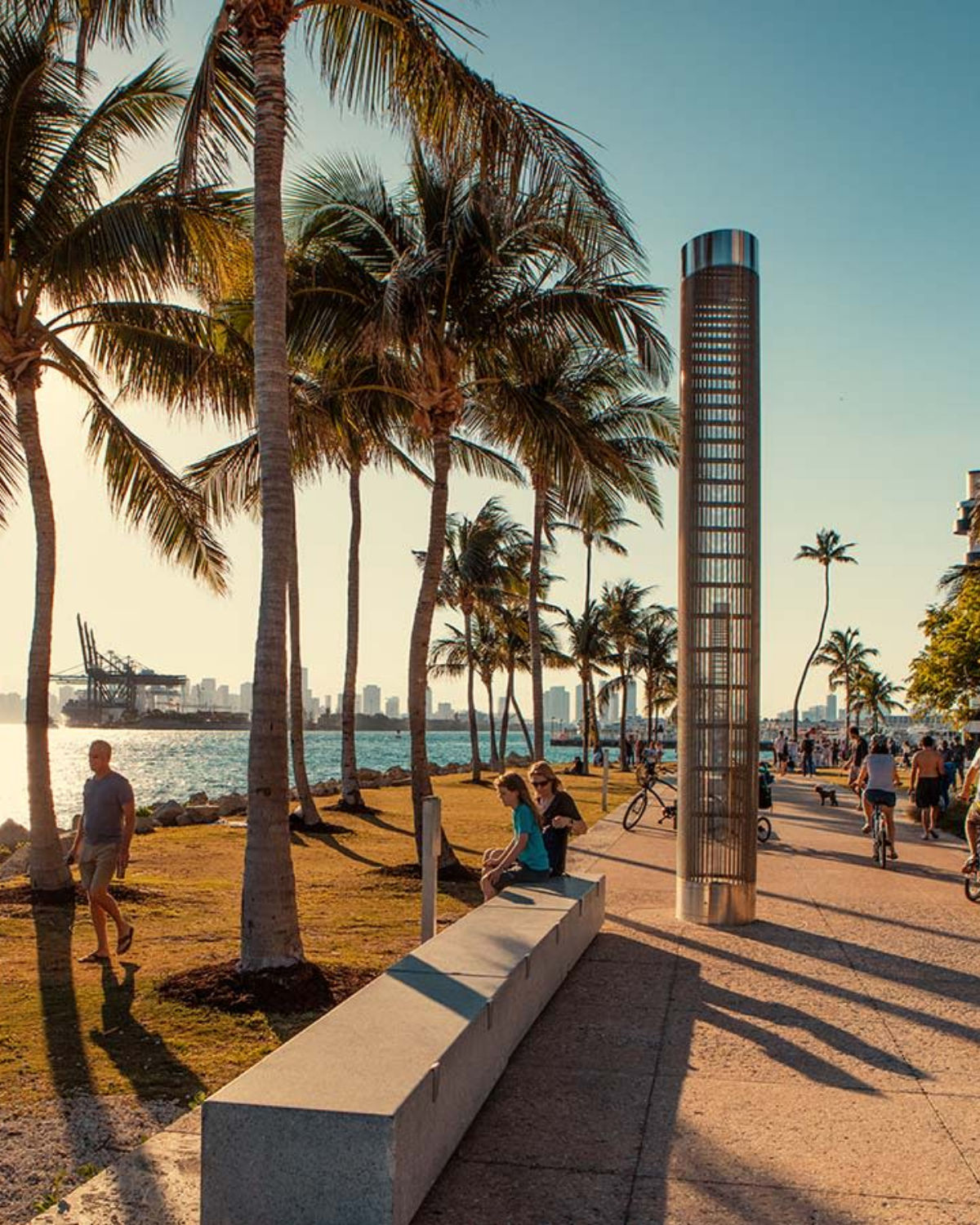 Tropical palm trees and fountain in South Pointe Park, Miami Beach, Florida