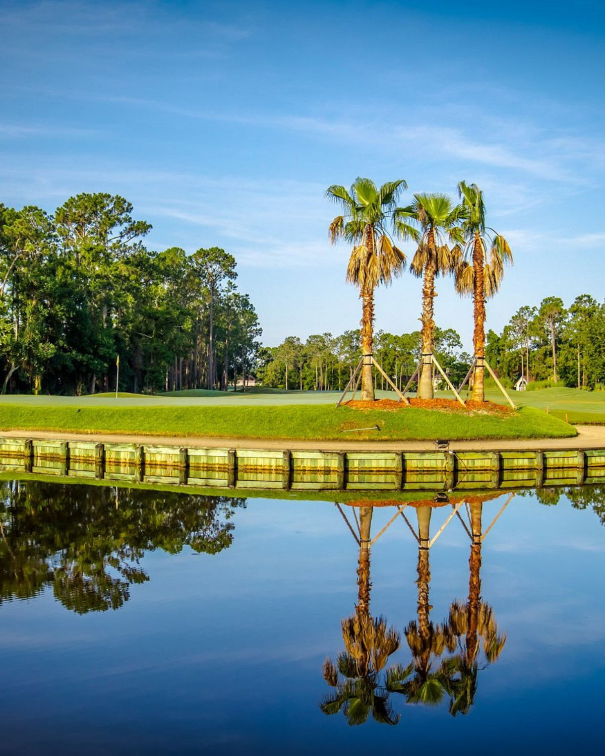 Peaceful park in Orange Park, FL with tall palm trees reflected in a calm pond and a playground in the background