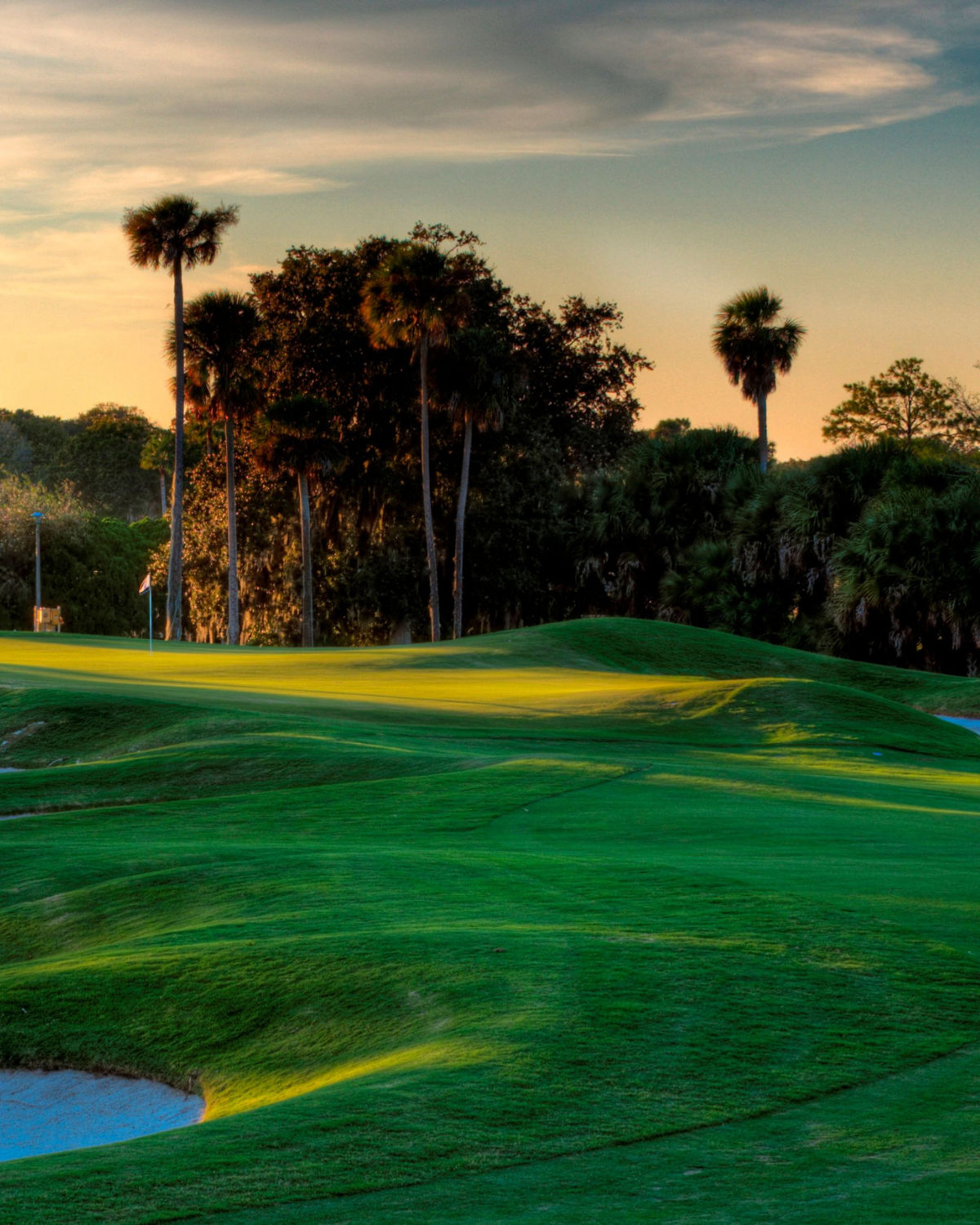 Palm Harbor Golf Club fairway in Palm Coast, Florida, with smooth rolling green hills and tall palm trees silhouetted against the warm light of late afternoon.