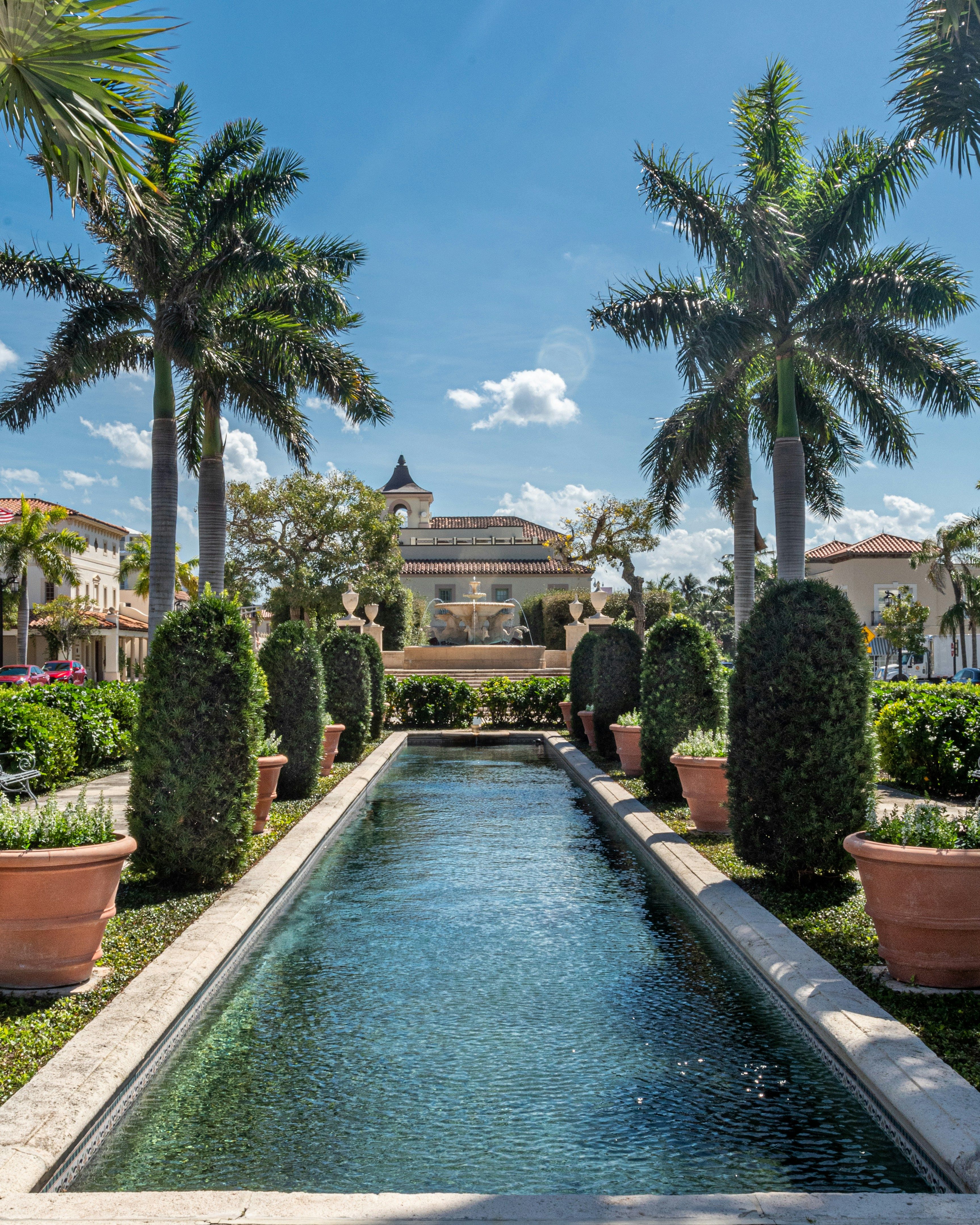 Lush manicured garden path in Palm Beach, FL with trimmed hedges and towering palm trees