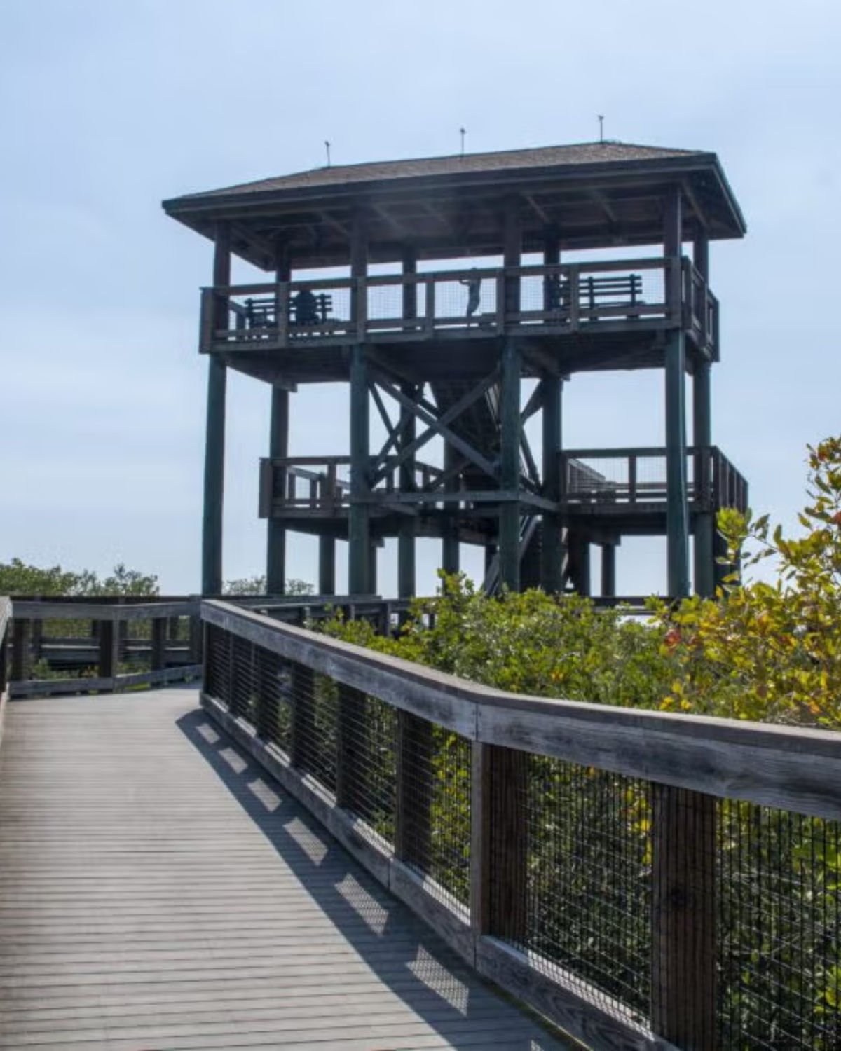 Peaceful waterfront boardwalk at Boca Ciega Millennium Park in Seminole, FL with calm water reflections and lush mangrove shoreline