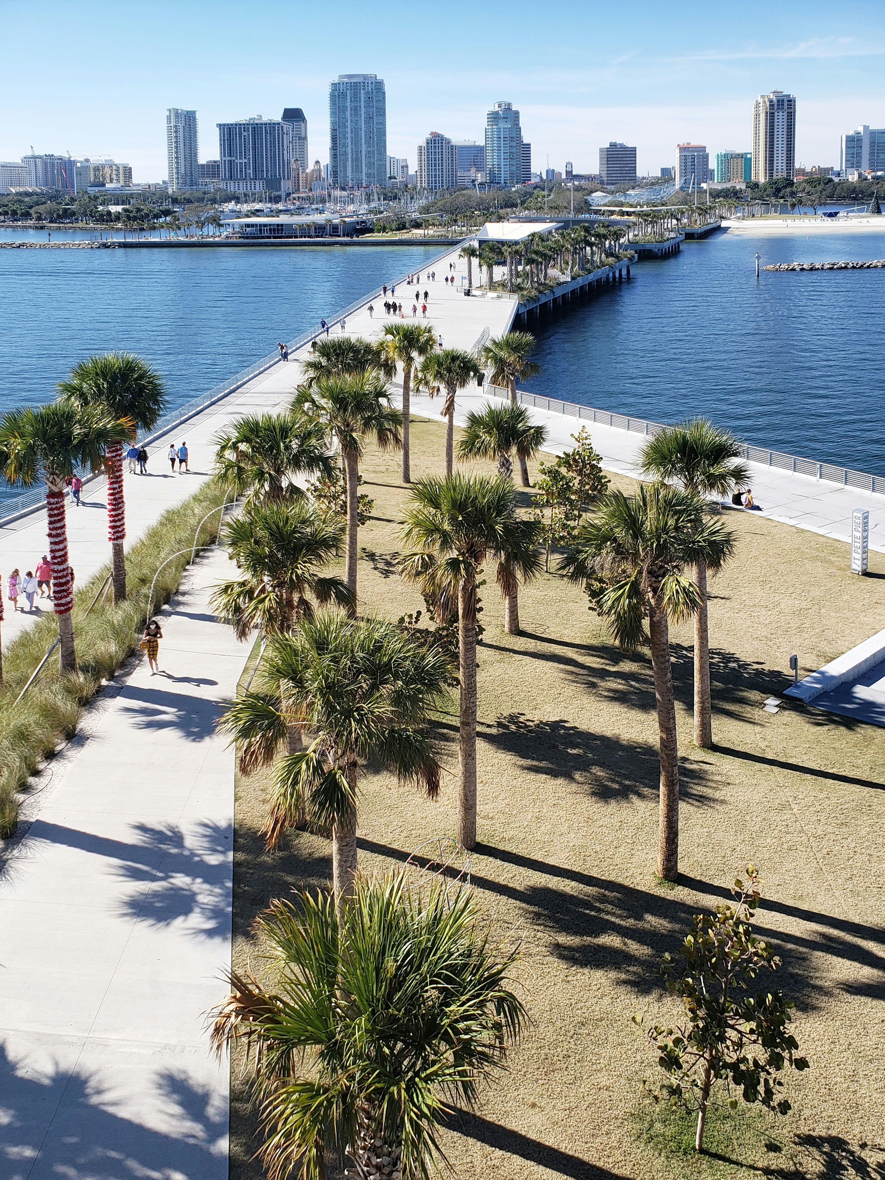 Beachside boardwalk with tall palm trees, white sand, and calm turquoise water on a clear sunny day in St. Petersburg, Florida