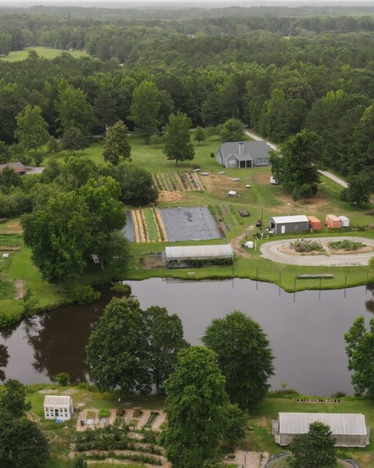 Aerial view of a lush green farm with cultivated garden beds, a pond, and surrounding woodland in rural Sharpsburg, Georgia