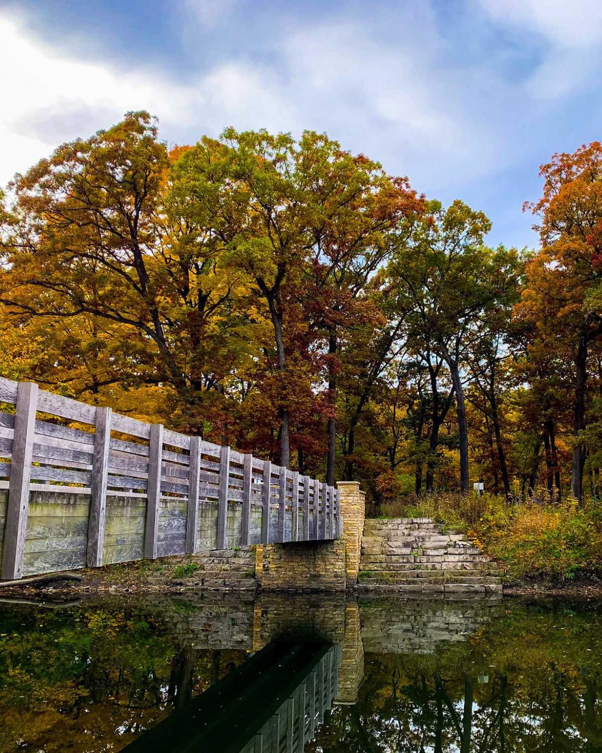 Wooden footbridge over still water at Fullersburg Woods Forest Preserve in Hinsdale, Illinois, leading to stone steps and surrounded by trees in peak autumn color reflected in the creek below.