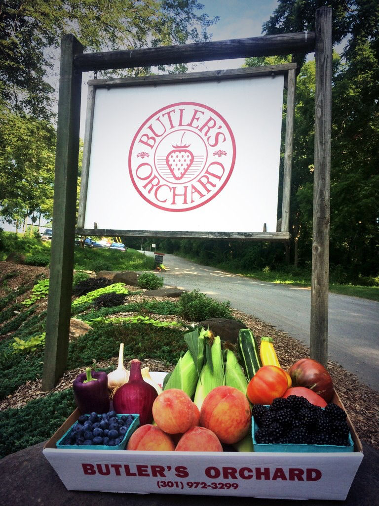 Display sign for Butler’s Orchard at the entrance to the farm in Clarksburg, Maryland, featuring the orchard’s strawberry logo. In the foreground, a produce box filled with fresh fruits and vegetables including peaches, blueberries, blackberries, corn, tomatoes, onions, garlic, peppers, and zucchini sits along a landscaped roadside surrounded by trees and greenery.