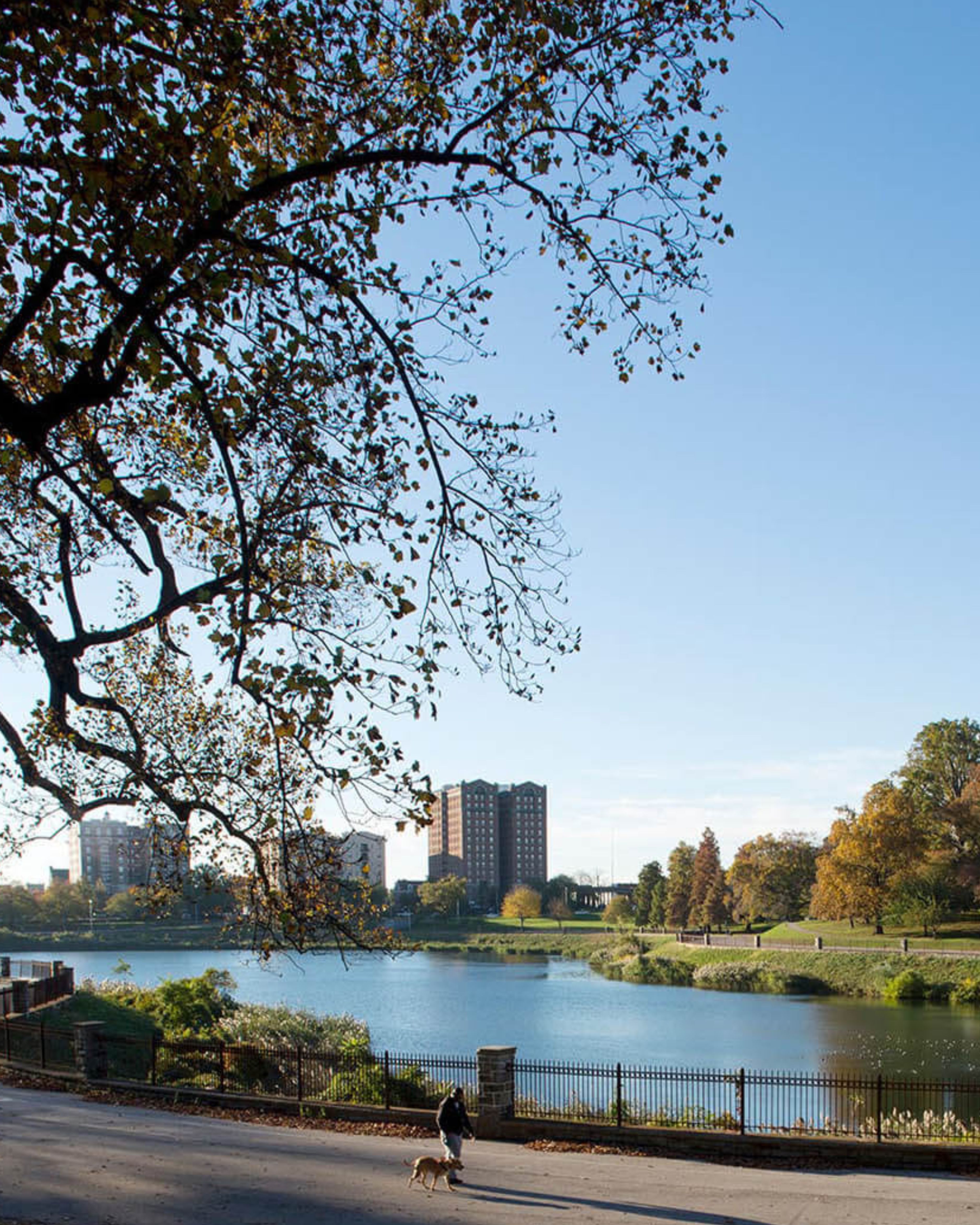 Scenic view near Druid Hill Park in the Gwynn Oak, Maryland area, featuring peaceful waterfront scenery, green space, and the outdoor charm that makes this part of greater Baltimore so inviting.