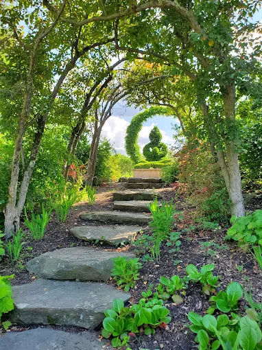 Stone garden steps lead through a lush, tree-covered arbor in a landscaped park setting, with greenery framing a sculpted topiary focal point in the distance. A peaceful outdoor scene that reflects the natural charm and garden beauty found in the Parkville, Maryland area.