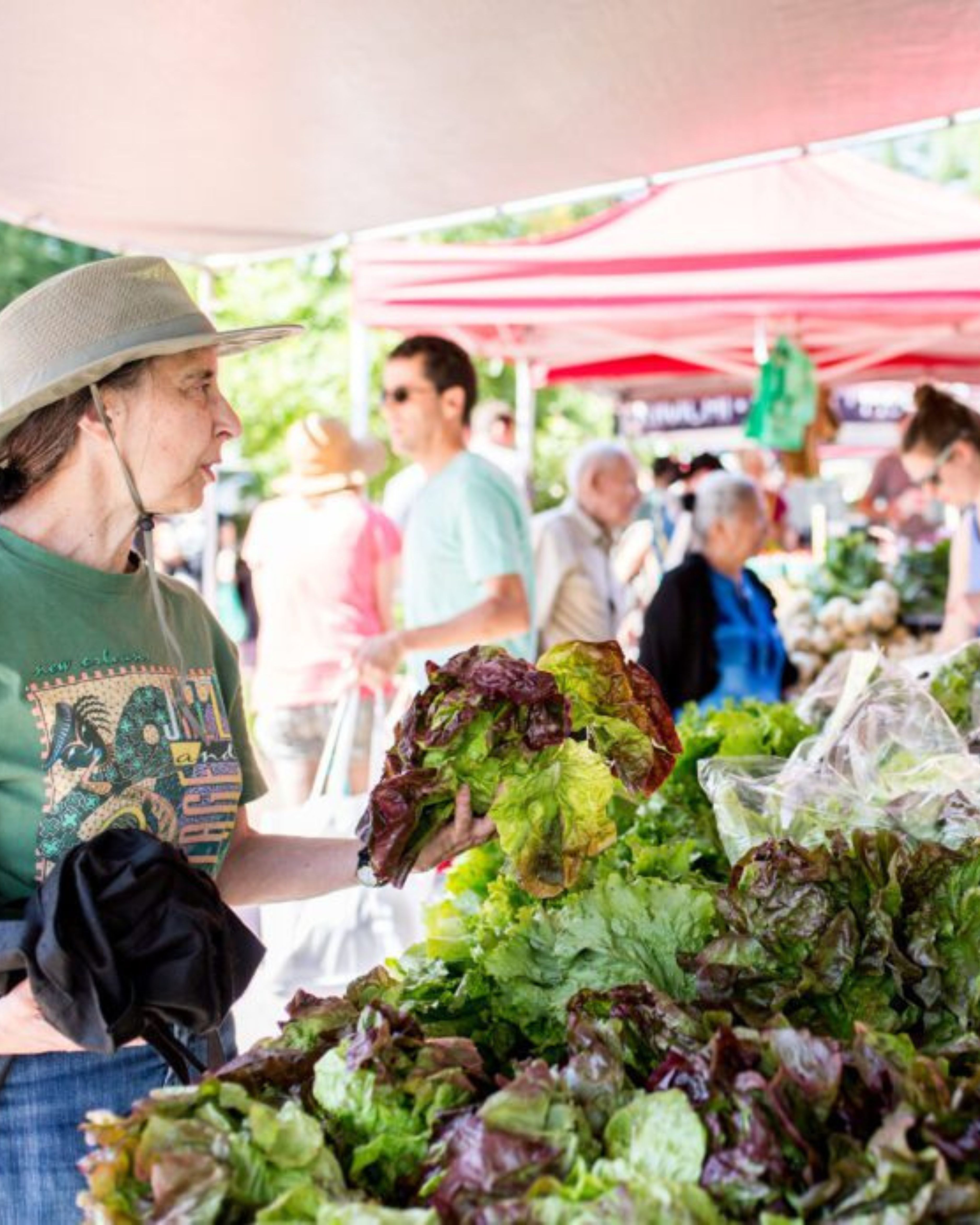 A visitor shops for fresh produce at a local farmers market in Takoma Park, Maryland, highlighting the community’s vibrant local culture, walkable lifestyle, and focus on fresh, neighborhood-centered living.
