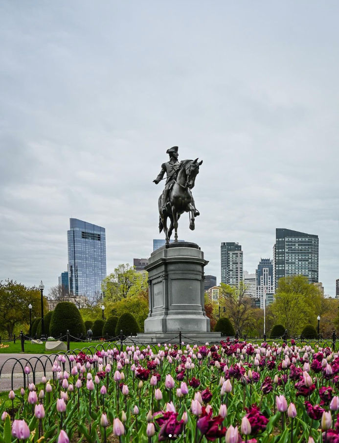 Statue surrounded by blooming tulips in Cambridge, Massachusetts, with scenic park views and the Boston skyline rising in the background.