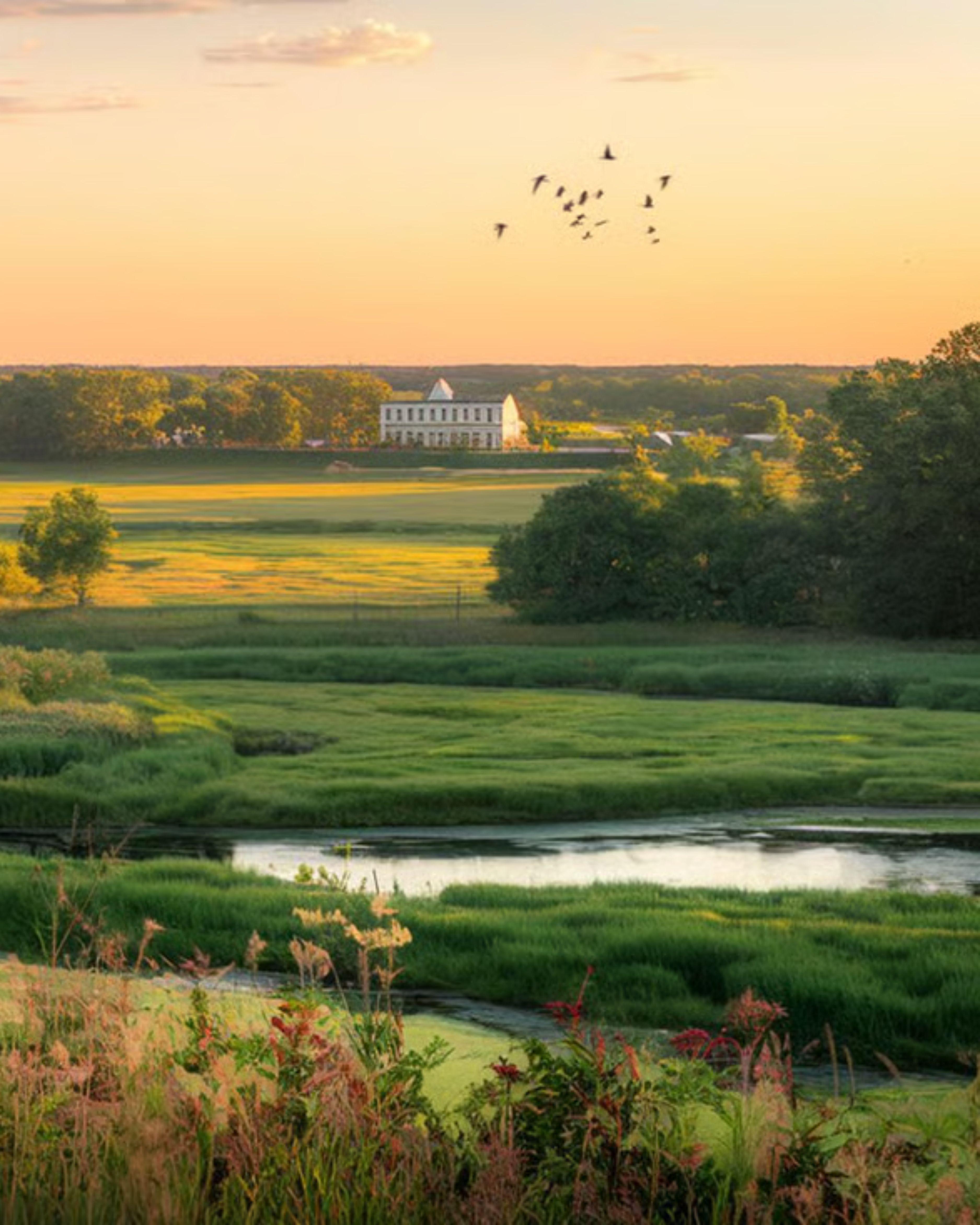 Scenic salt marsh in Marshfield, MA at sunset, featuring winding waterways, lush coastal grasses, distant farmland, and birds flying across the golden evening sky.