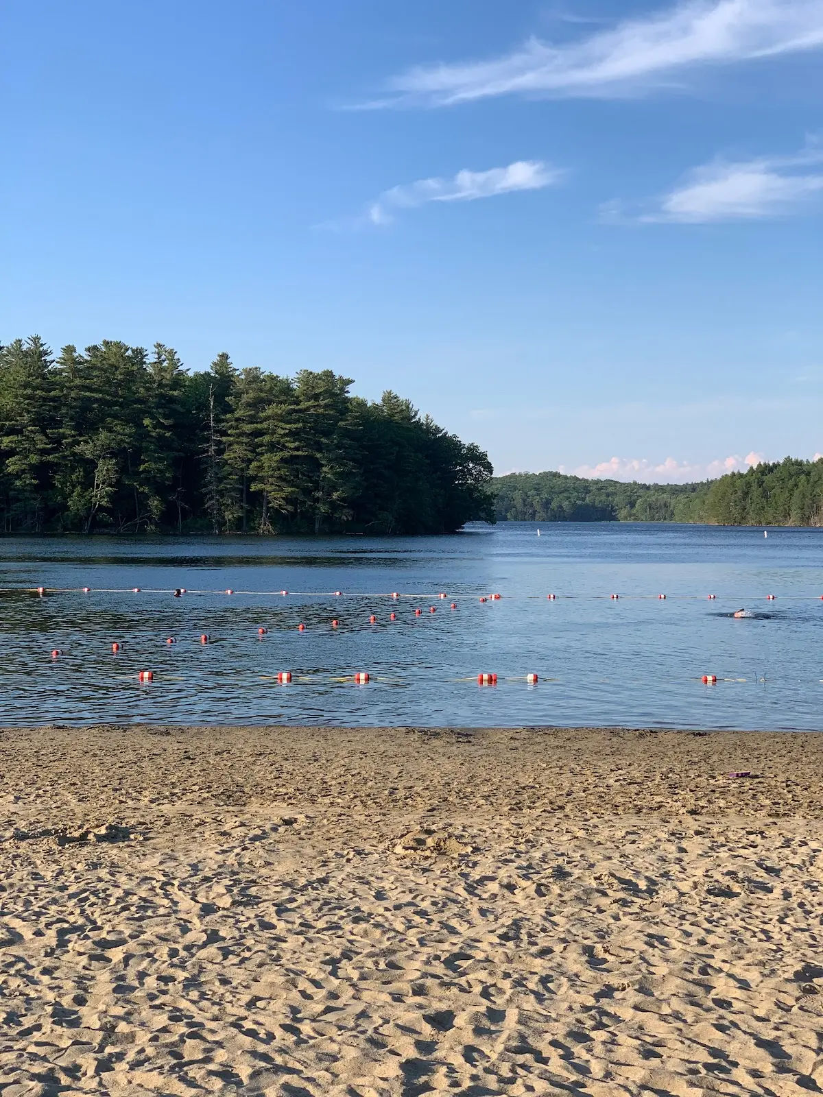 Sandy beach along a calm lake in South Grafton, Massachusetts, with designated swimming areas marked by floating buoys. Surrounded by dense pine forests and clear blue skies, the peaceful waterfront offers a scenic destination for swimming, relaxing, and enjoying the outdoors.