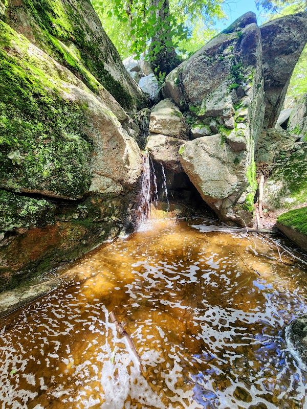 Small waterfall cascading through a rocky woodland setting in Sutton, Massachusetts. Moss-covered boulders, clear flowing water, and lush greenery surround the secluded natural feature, creating a peaceful outdoor scene.