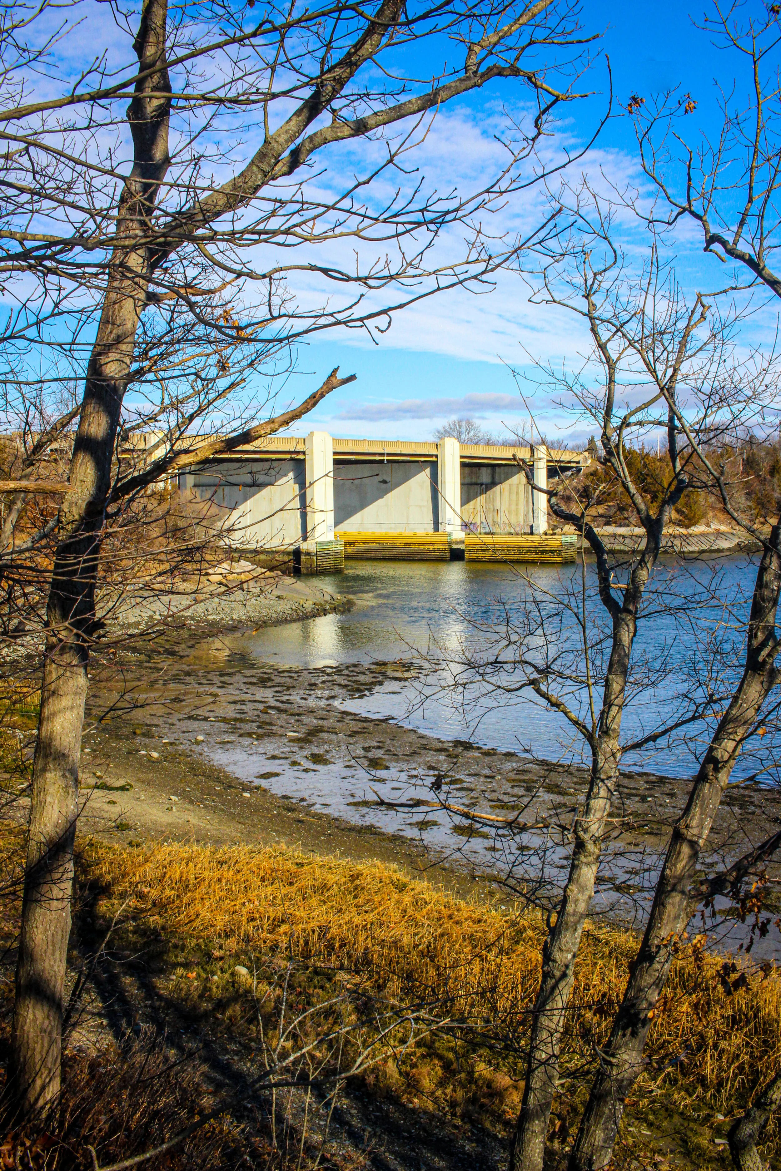 Scenic view of Weymouth, MA featuring a coastal inlet with a dam structure, framed by leafless trees and shoreline grasses, showcasing the natural beauty of the South Shore under a clear blue sky.