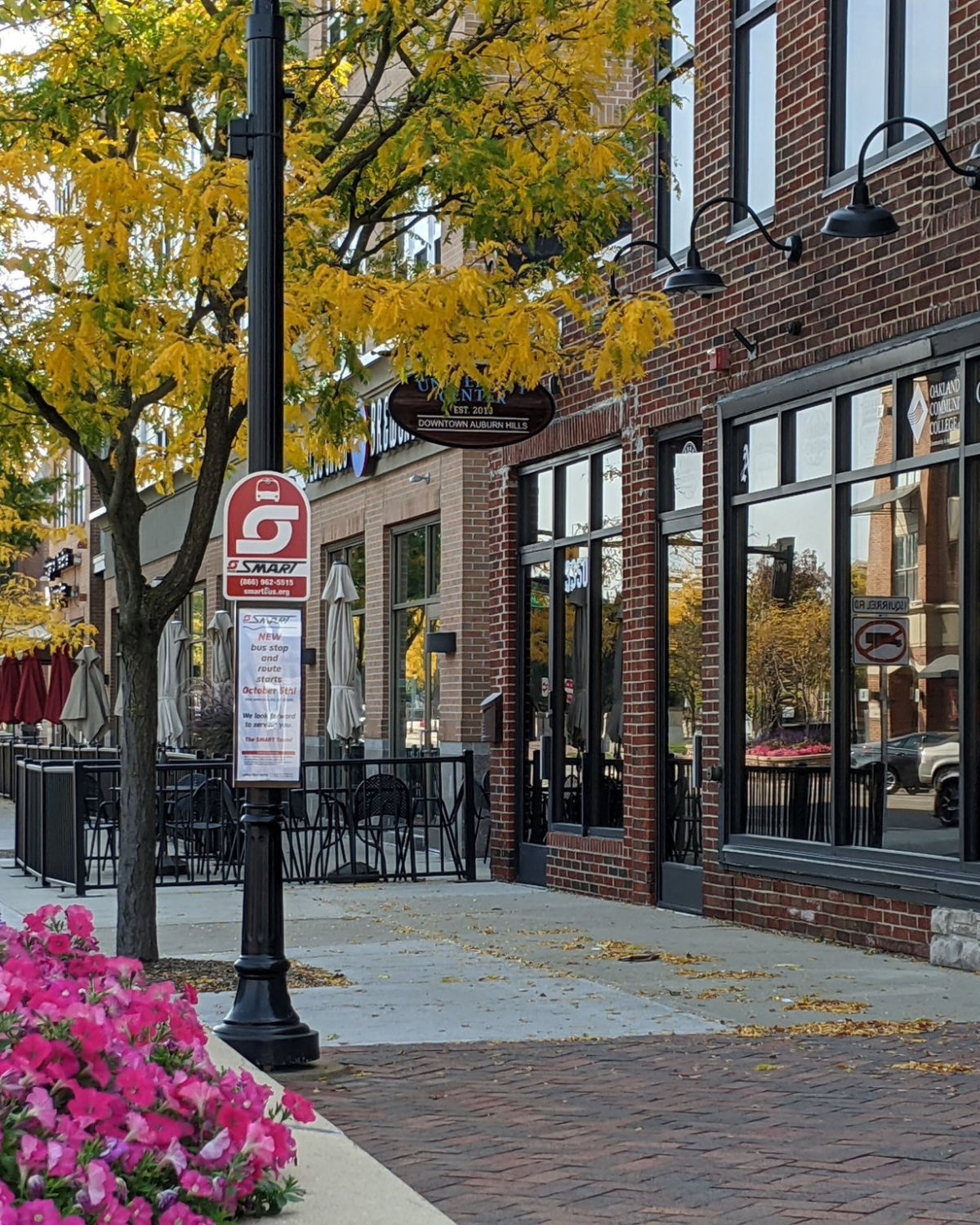 Downtown scene of a storefront with colorful foliage in Auburn Hills, MI