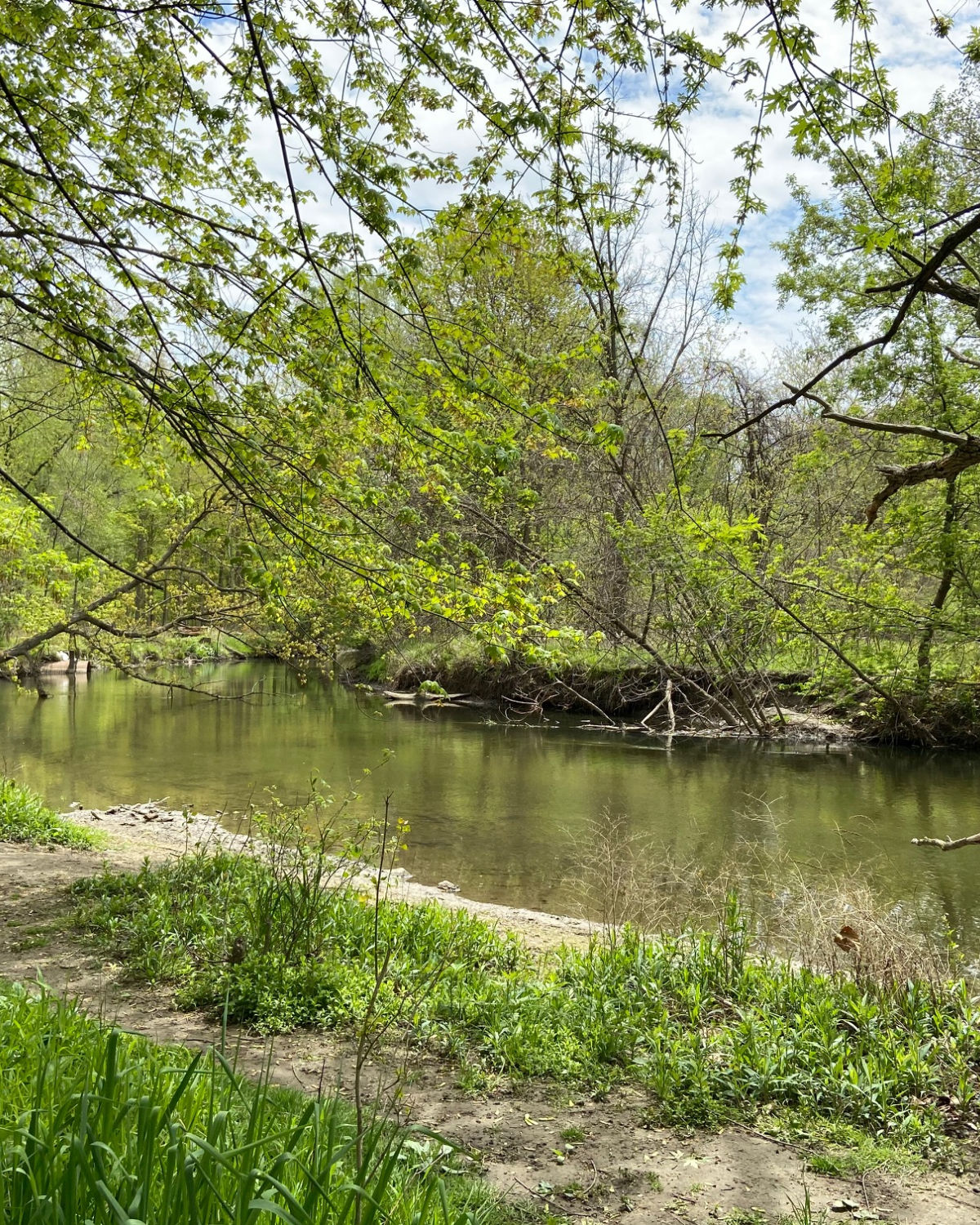 A peaceful tree-lined creek with lush spring foliage and calm green water along the Clinton River Trail in Sterling Heights, Michigan