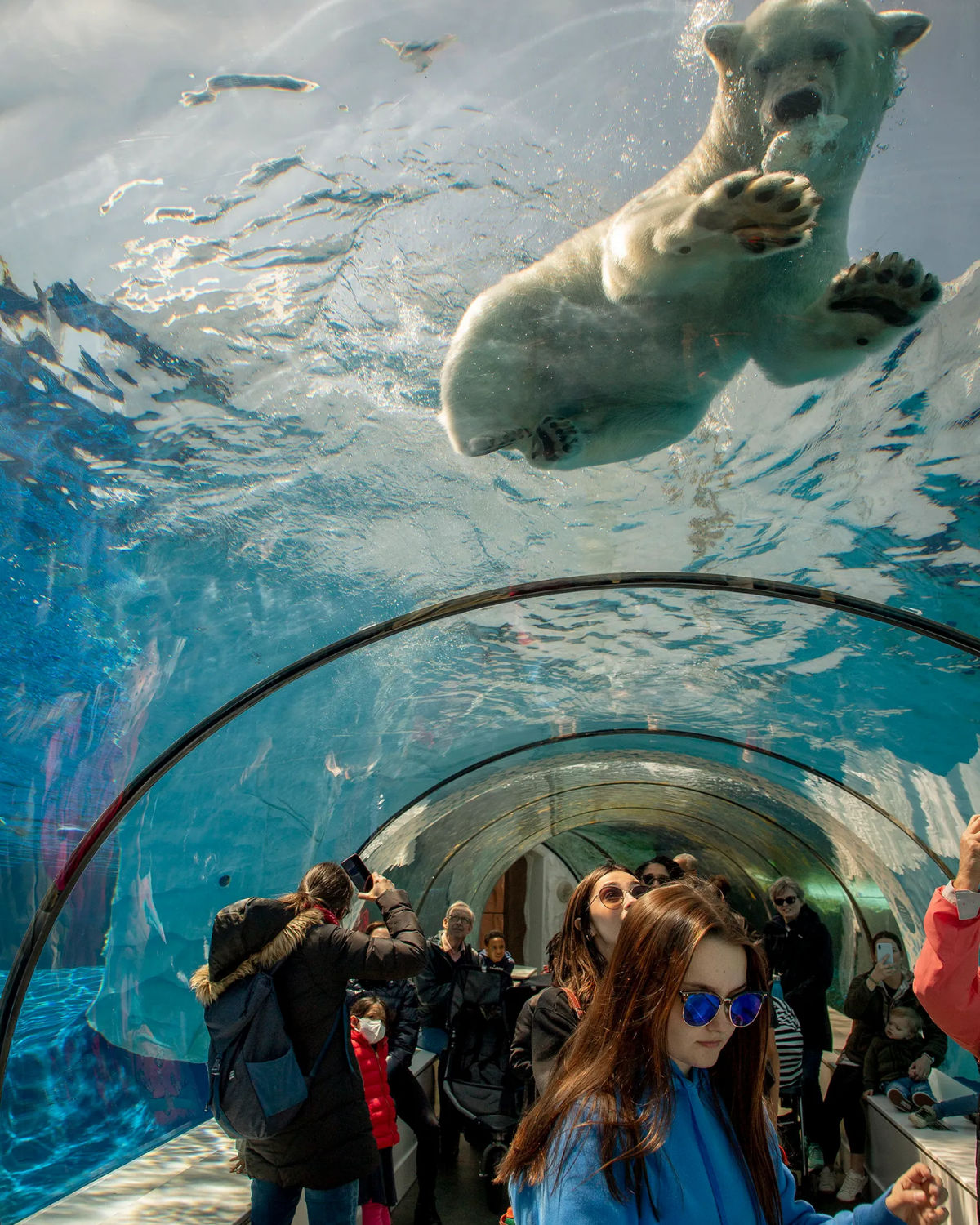 Visitors inside an underwater tunnel viewing sharks and marine life at the Detroit Zoo aquarium near Warren, Michigan