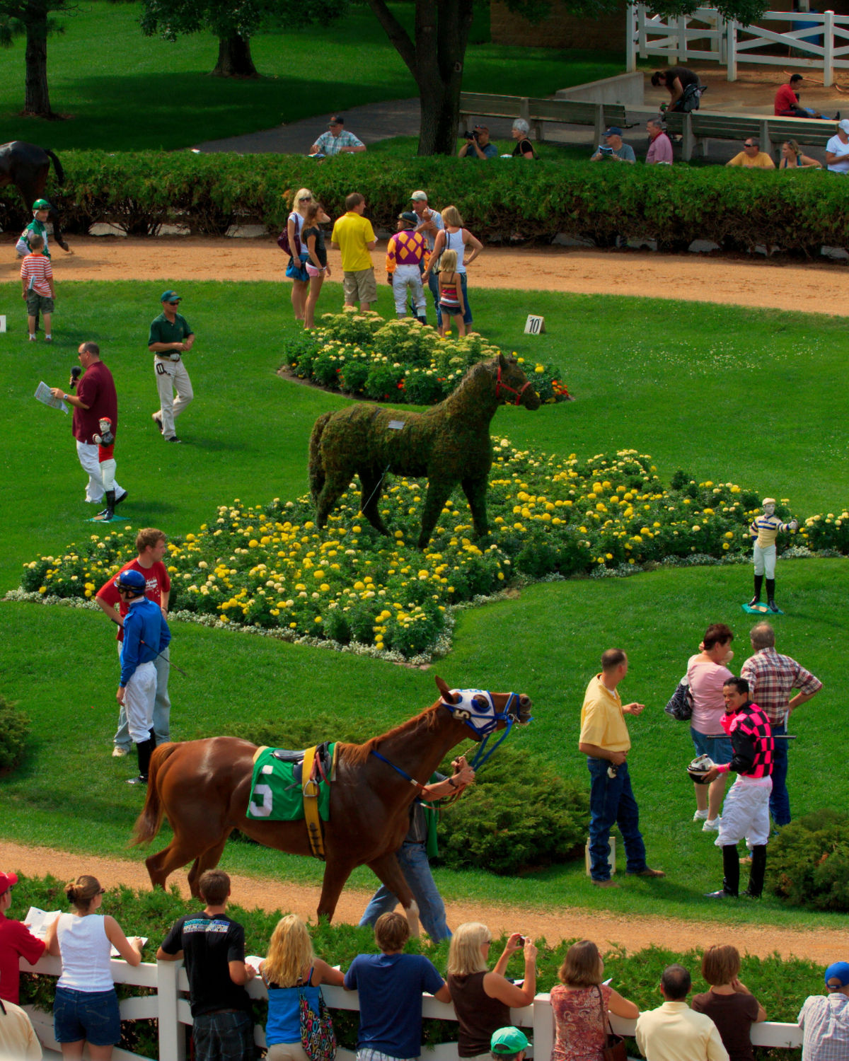 Paddock at Canterbury Park in Minnesota, with jockeys and handlers walking racehorses around a grassy ring with bright yellow flowers and a horse-shaped hedge