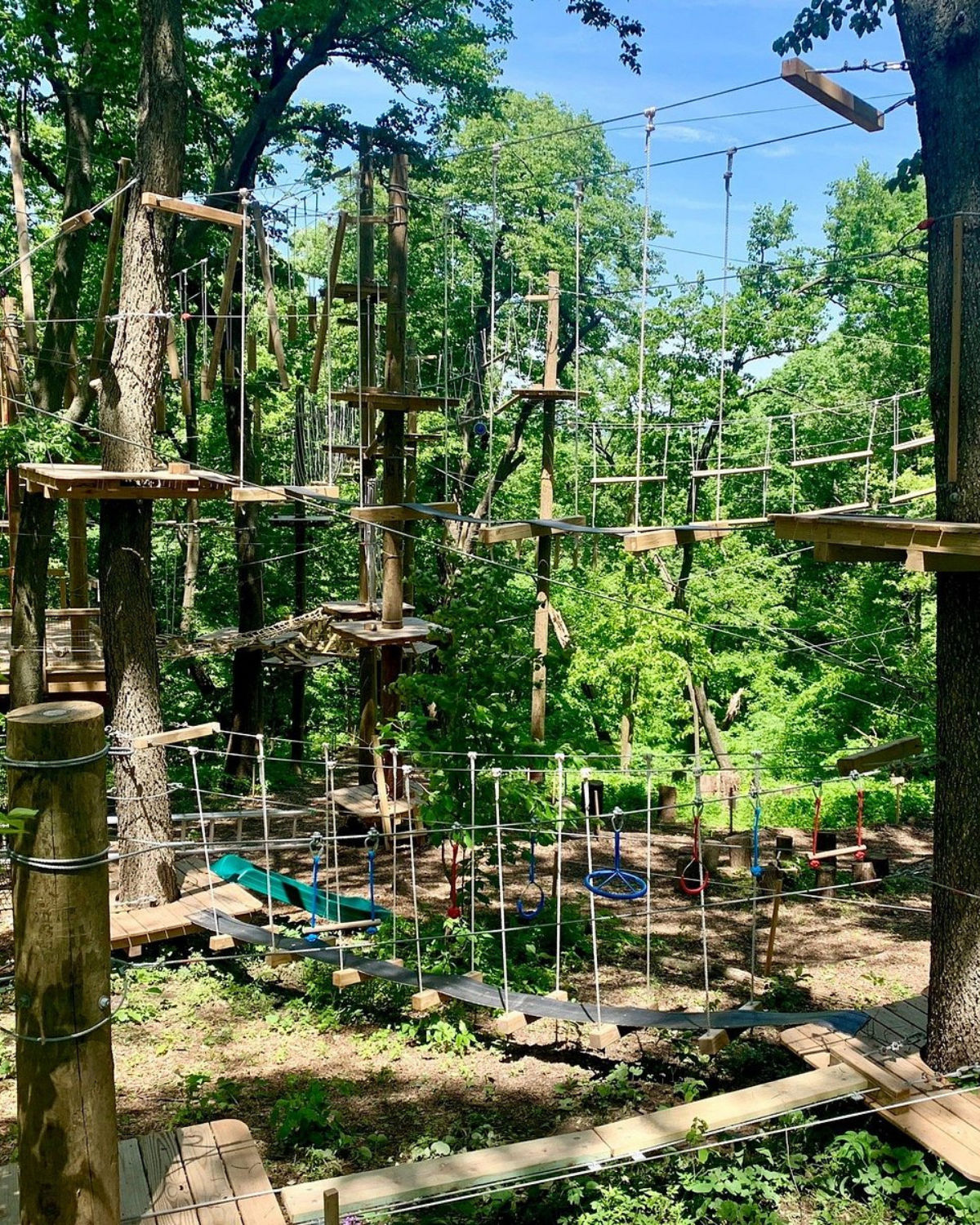 Ropes course at Fontenelle Forest in Bellevue, Nebraska, featuring wooden platforms, suspension bridges, and cables strung between tall trees, all surrounded by dense green foliage under a bright blue sky.