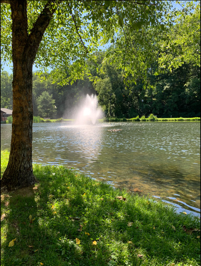 Peaceful pond in Caldwell, New Jersey, with a fountain spraying water at its center and lush green trees providing shade along the shoreline. Sunlight filters through the leaves, reflecting across the calm water and creating a tranquil park setting.