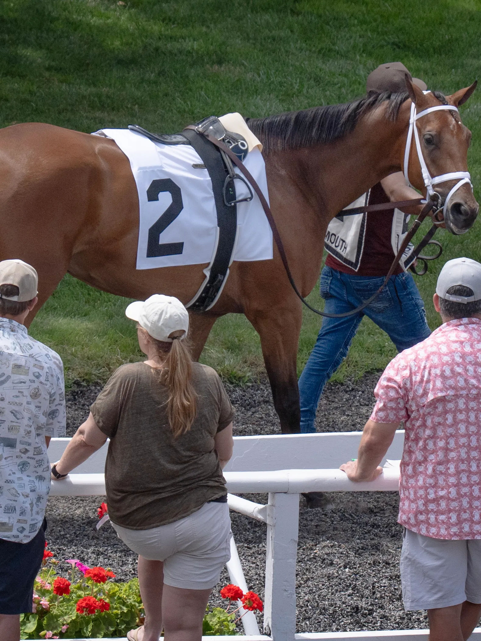 Racehorse being led past spectators at a horse racing venue near Fort Monmouth in Monmouth County, New Jersey, during a daytime race event.