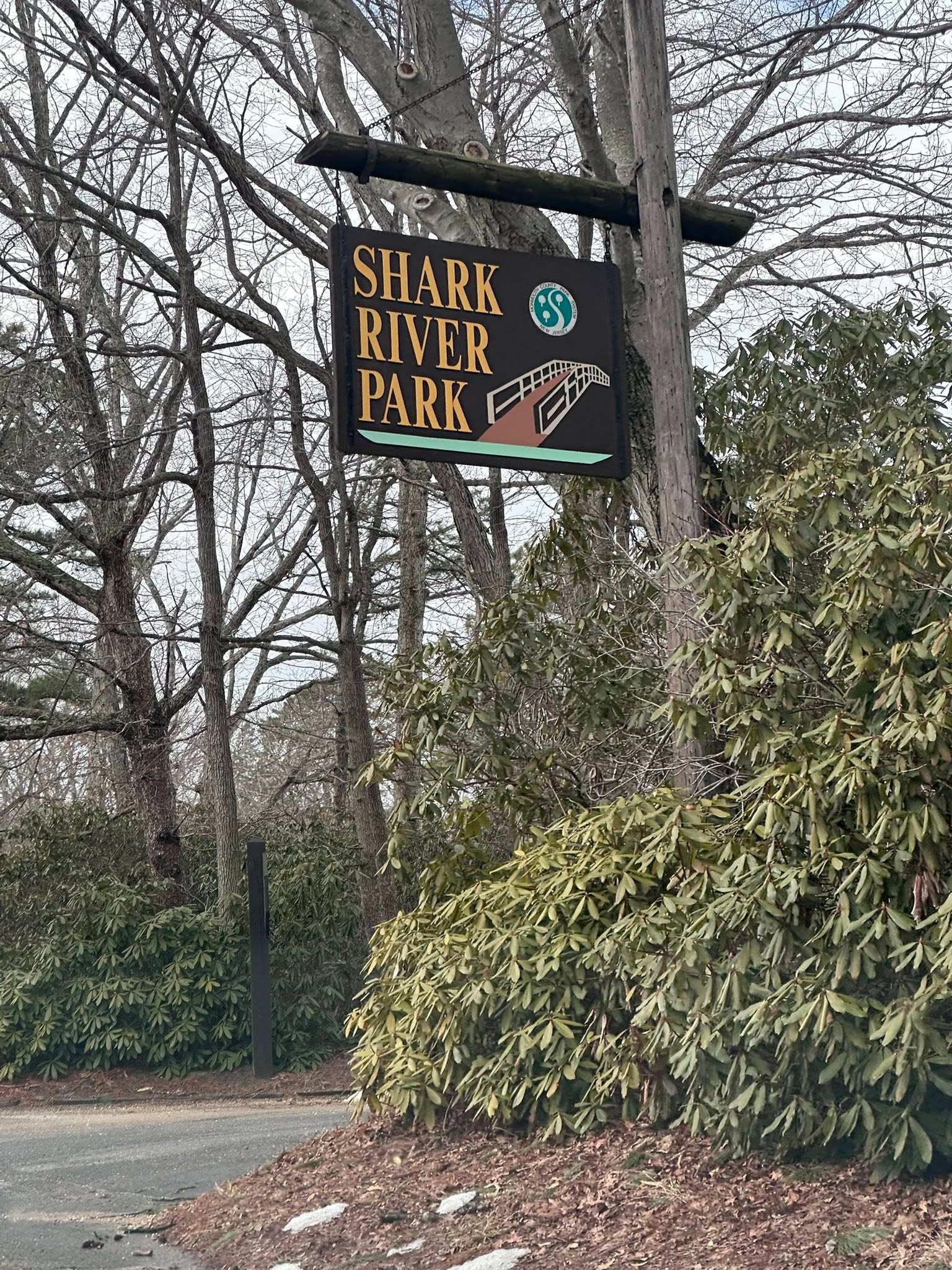 Entrance sign for Shark River Park in Neptune, New Jersey, hanging among mature trees and dense greenery near a wooded park roadway.