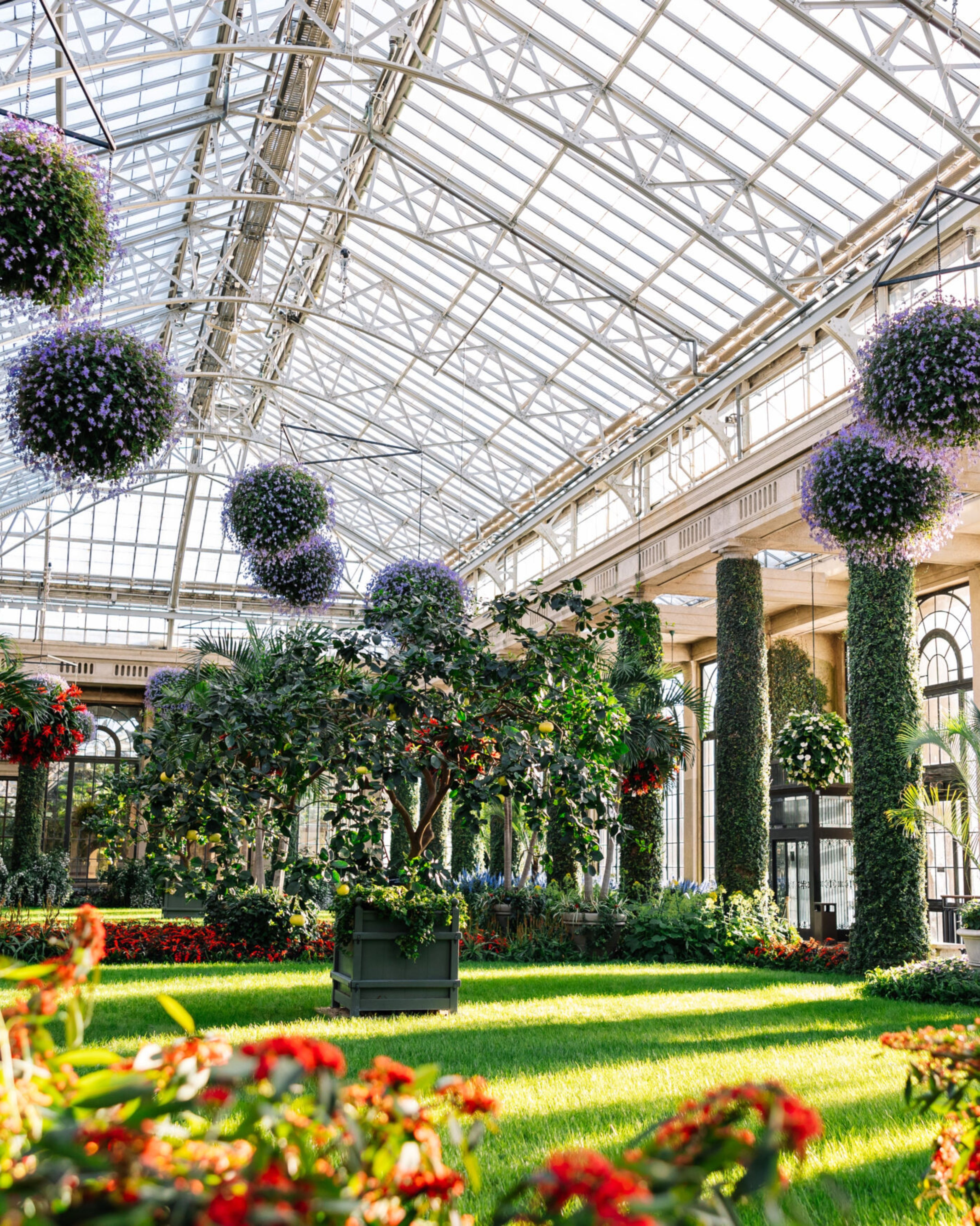 Lush indoor gardens at the New Jersey Botanical Garden near Ridgewood, New Jersey, highlighting the area’s scenic beauty, refined lifestyle, and easy access to peaceful outdoor escapes and cultural attractions.