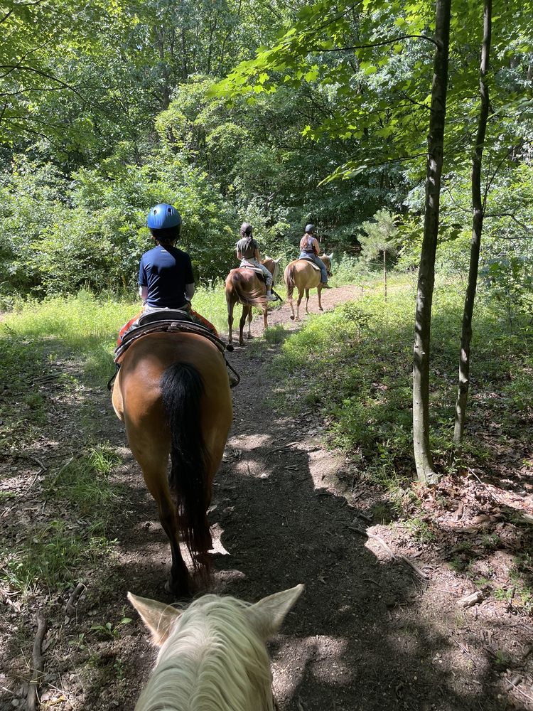 Horseback riders explore wooded trails at Legacy Riding Stables in Sayreville, New Jersey.