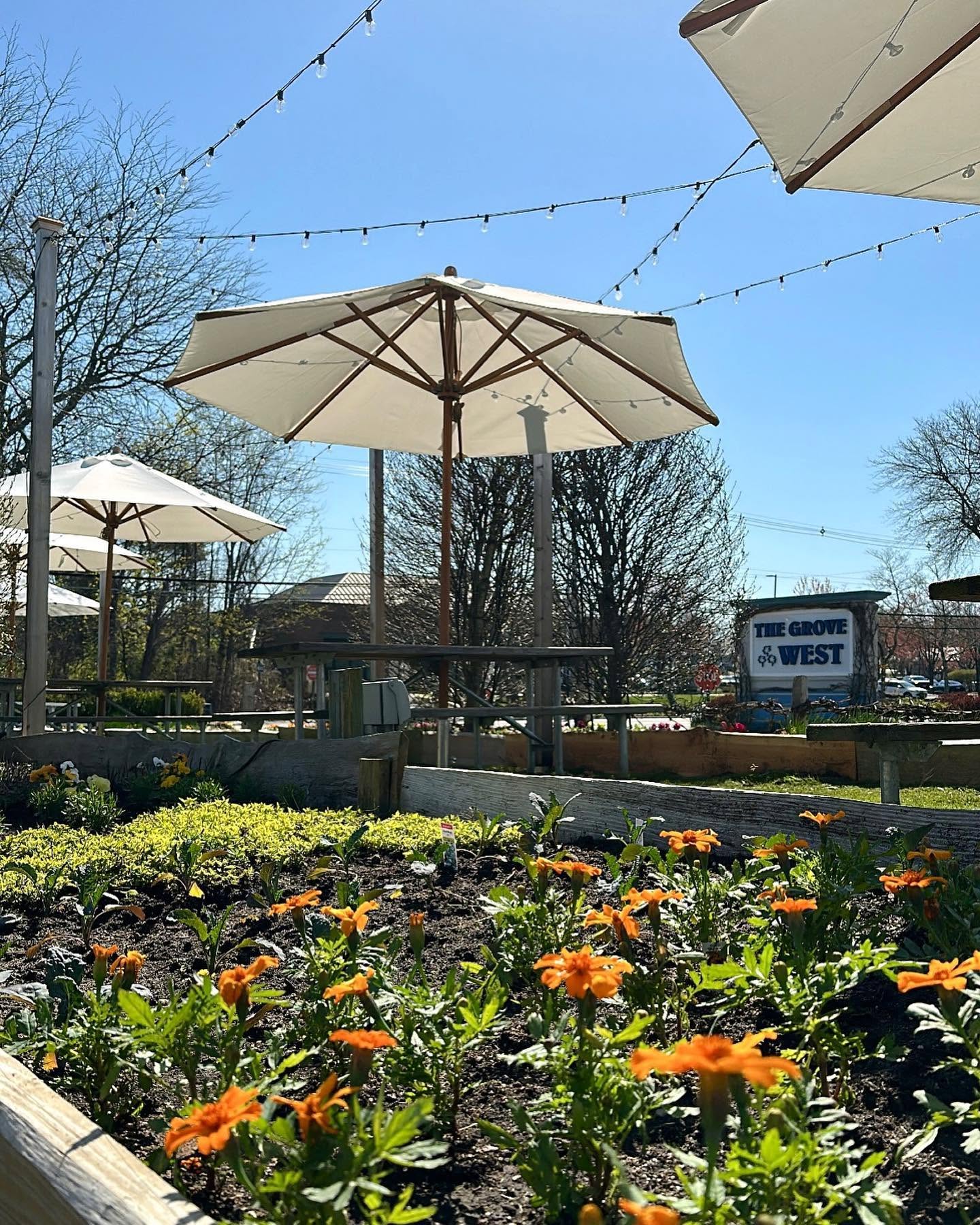 Outdoor garden area at The Grove at Shrewsbury in Shrewsbury, New Jersey, featuring colorful flowers, patio umbrellas, string lights, and landscaped shopping center grounds.