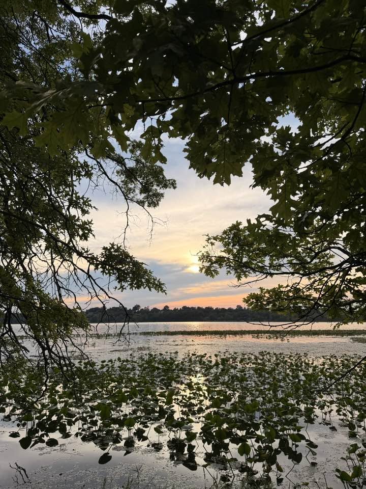 Congers Lake Memorial Park in Congers, New York, featuring the lake, aquatic vegetation, and wooded shoreline near HappyNest laundry pickup and delivery customers.