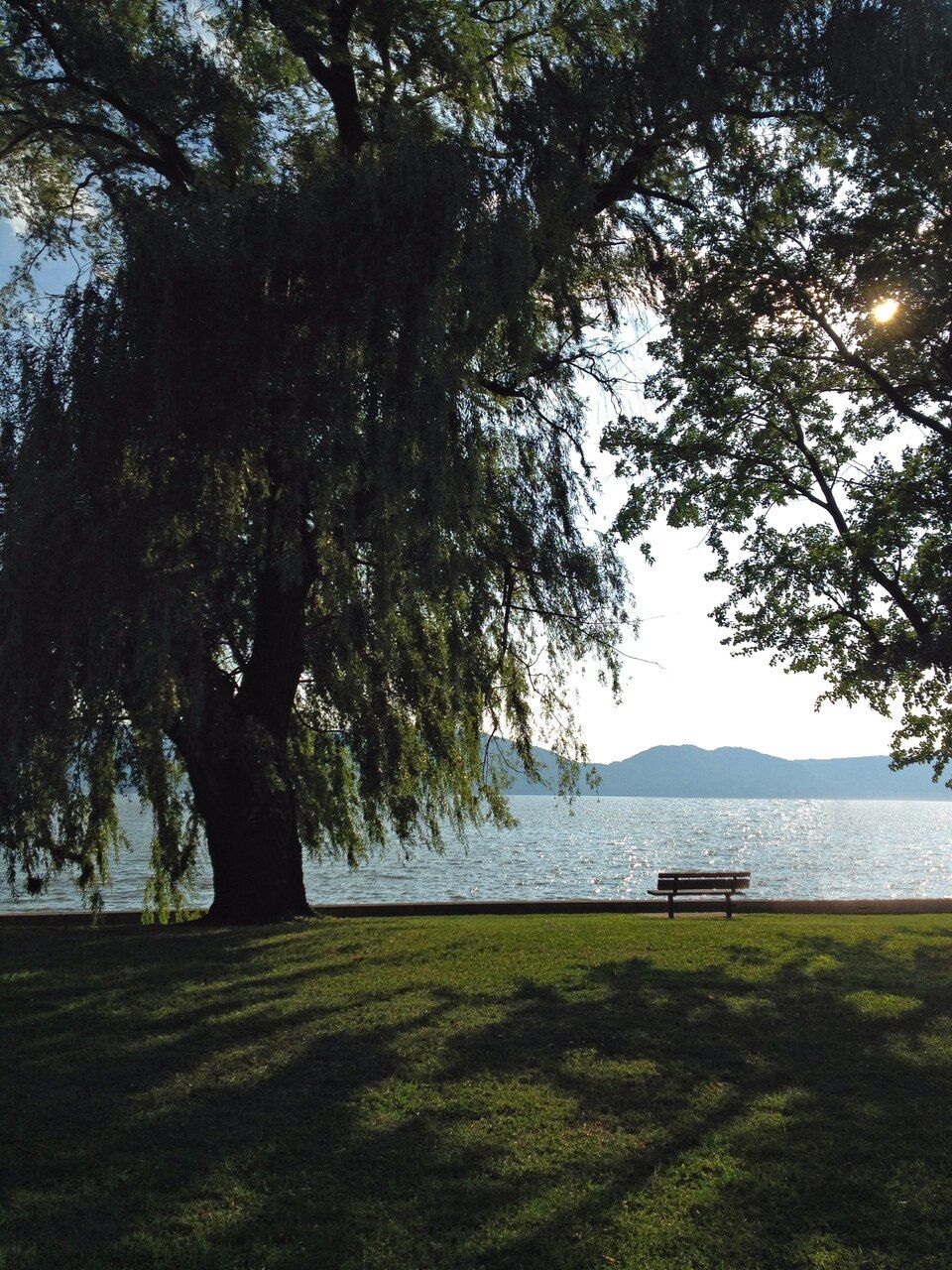 Peaceful waterfront park in Croton-on-Hudson, New York, featuring a bench overlooking the Hudson River, a grassy lawn, large mature trees, distant wooded hills, and sunlight filtering through the tree canopy.