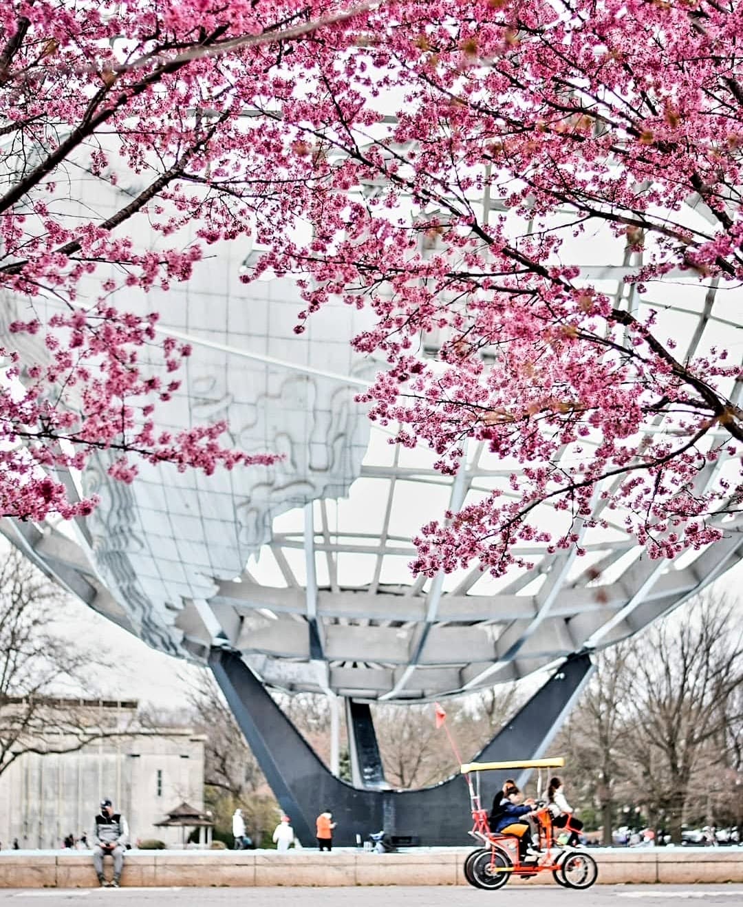 View of the Unisphere in Flushing Meadows Corona Park near Fresh Meadows, Queens, New York, framed by vibrant pink spring blossoms with visitors and a pedal cart beneath the landmark globe.