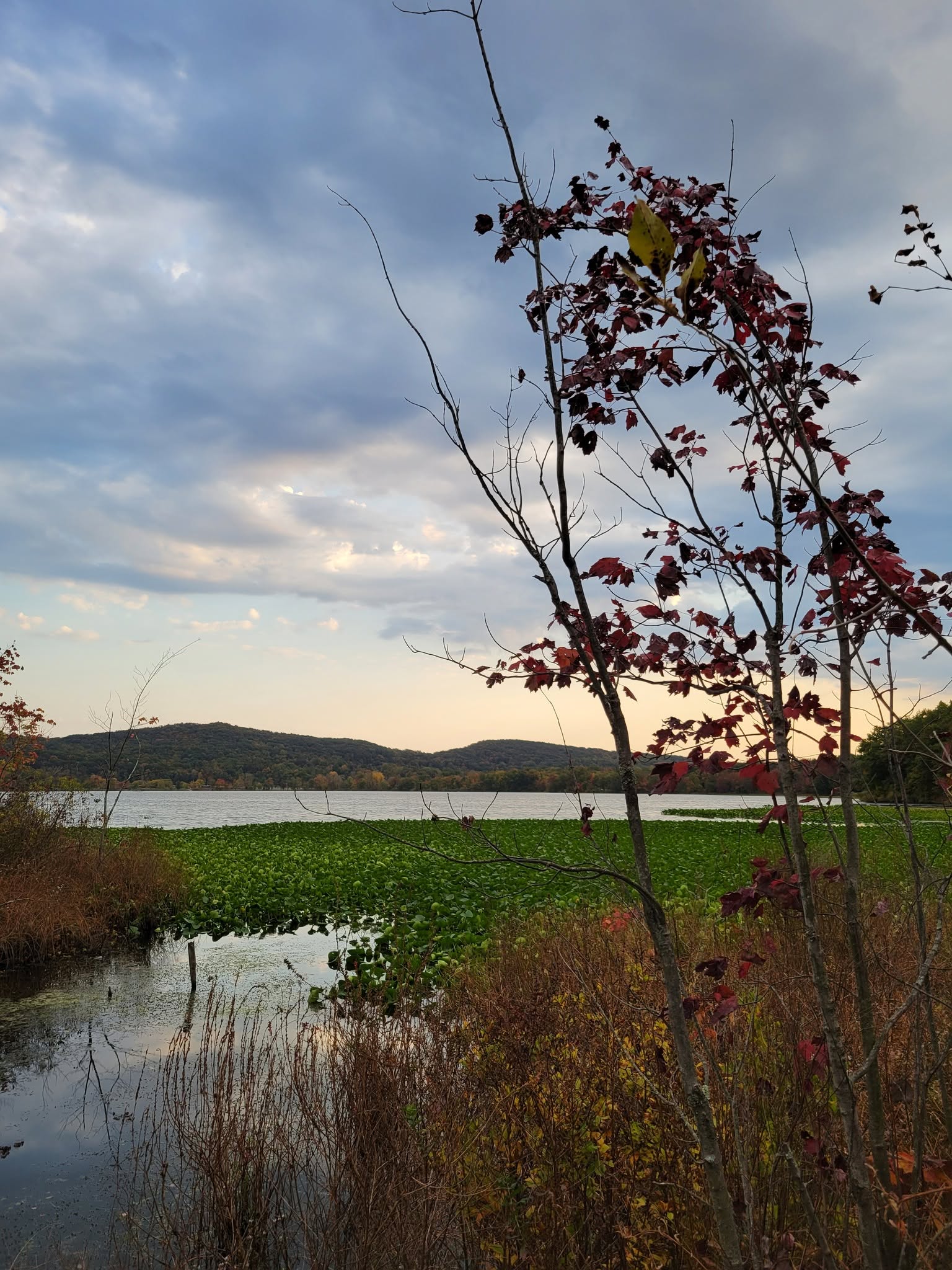 Scenic Hudson River landscape near Grand View-on-Hudson, New York, featuring wooded shoreline and fall foliage along the Hudson near HappyNest laundry pickup and delivery customers.