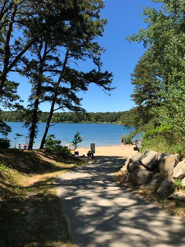 A peaceful path lined with trees leads to a sandy beach and calm waterfront, capturing the relaxed outdoor lifestyle and coastal recreation enjoyed near Oceanside, New York.