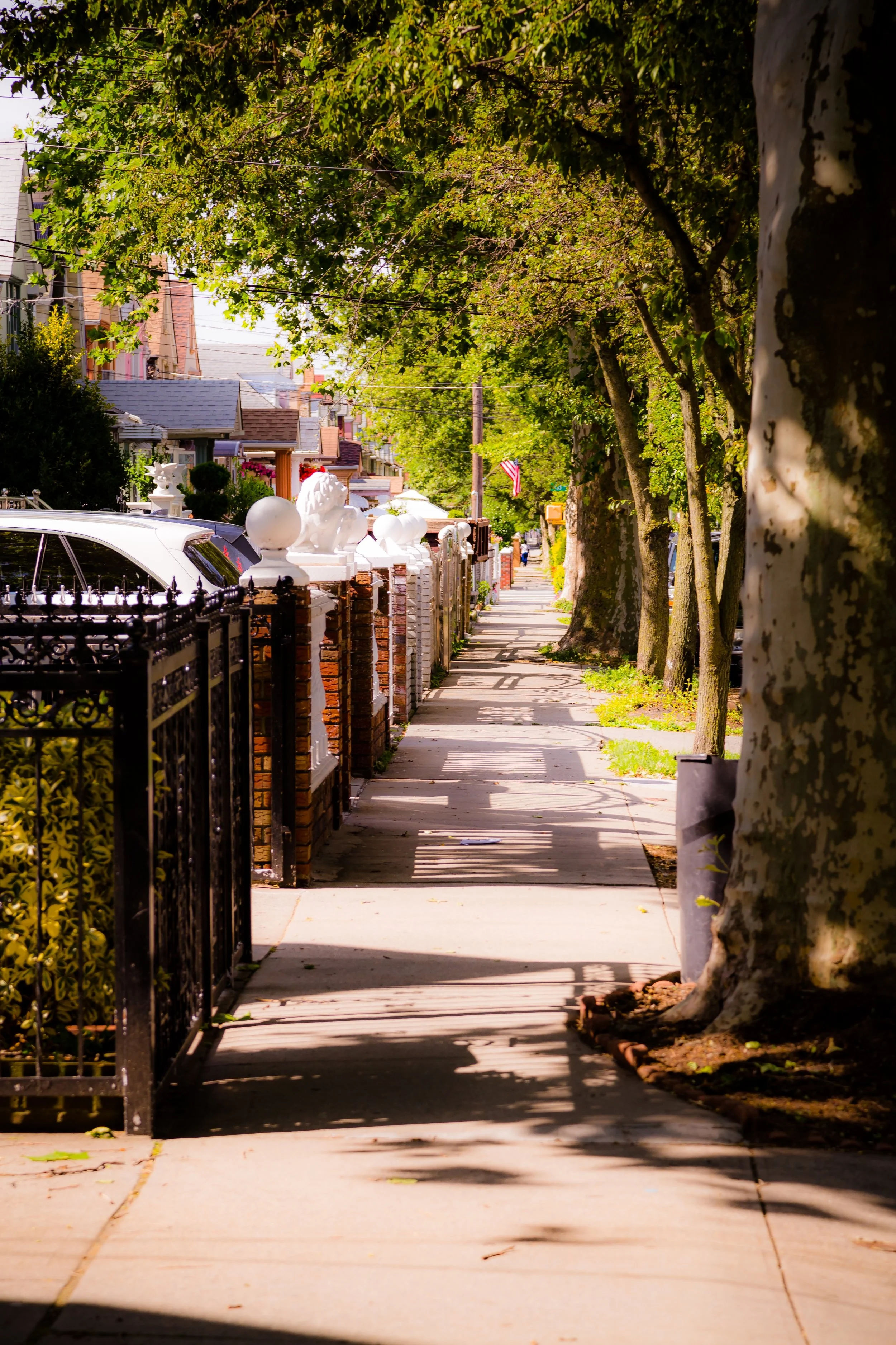 Tree-lined residential sidewalk in Ozone Park, Queens, New York, featuring brick homes, decorative fences, mature trees, parked cars, and sunlight casting shadows along the neighborhood walkway.