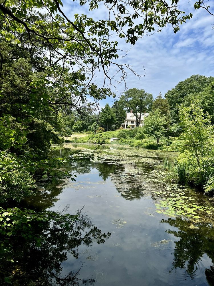 Peaceful nature scene in Roslyn, New York, featuring a calm pond covered with lily pads, lush green trees surrounding the water, and a large historic home overlooking the landscape beneath a bright summer sky.