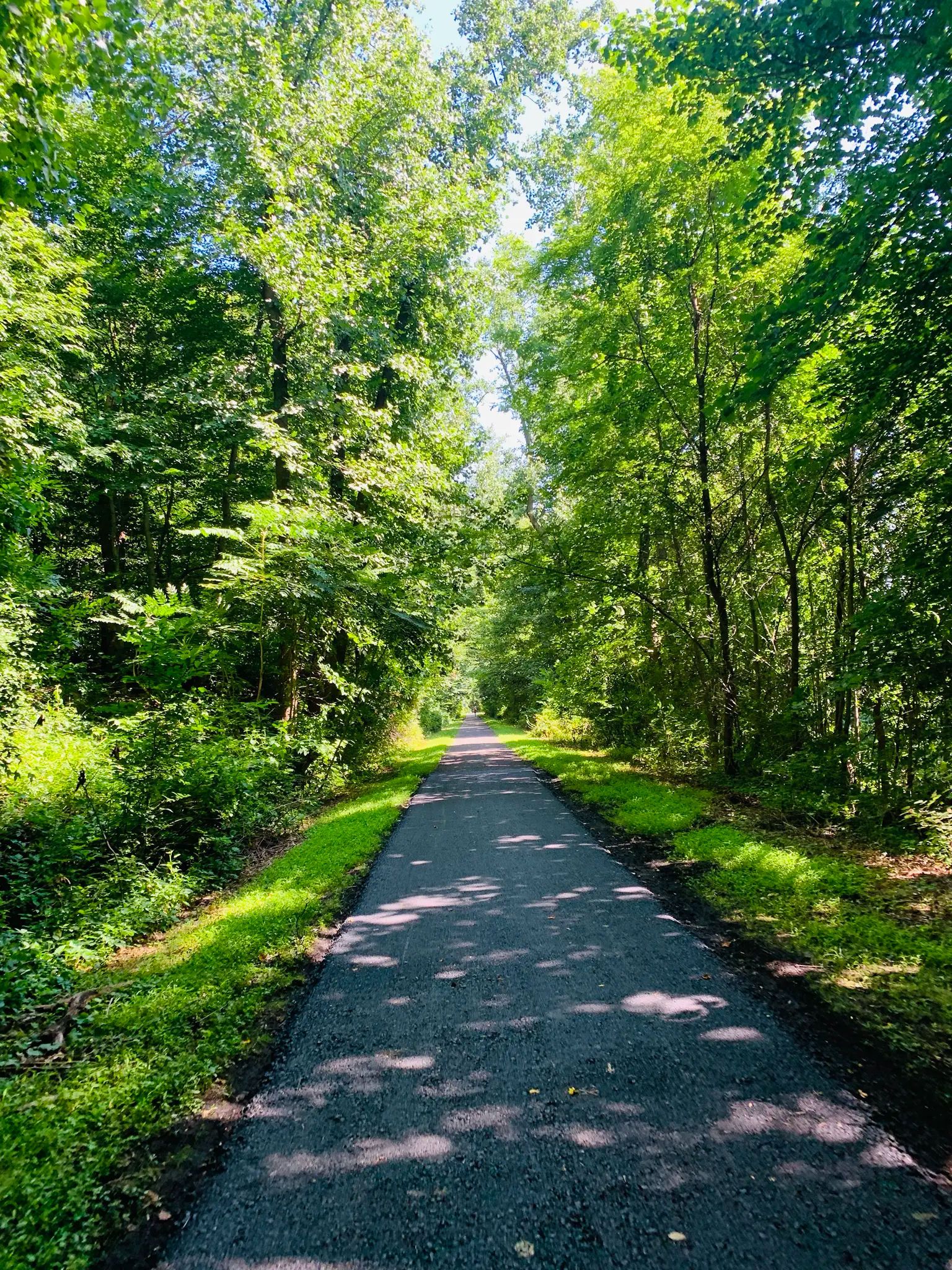 Paved walking and biking trail in Valhalla, New York, extending through a densely wooded area with lush green trees, vegetation, grassy edges, and sunlight filtering through the forest canopy.