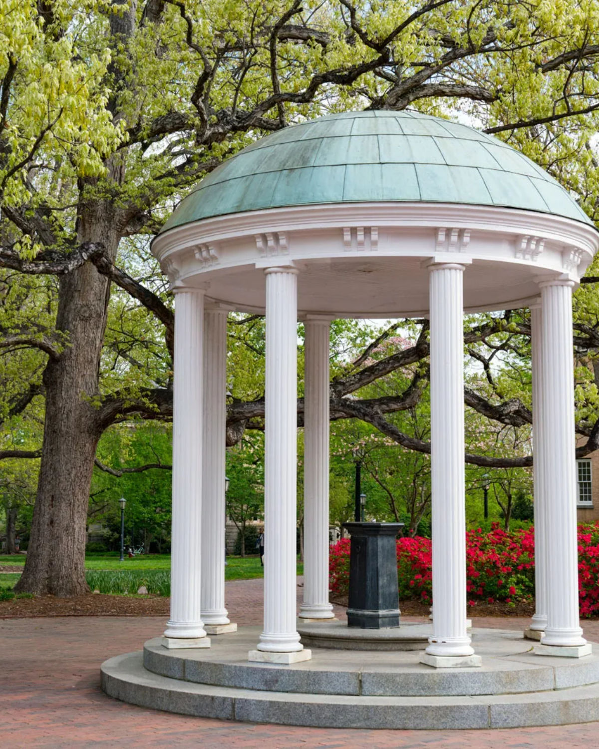 The iconic white-columned rotunda of the Old Well on the UNC Chapel Hill campus framed by sprawling oak trees in Chapel Hill, North Carolina
