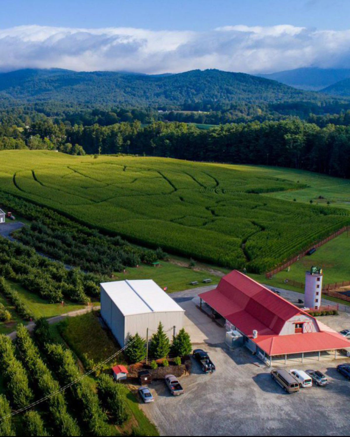 Aerial panoramic view of Hendersonville, NC nestled in a lush green mountain valley with rolling Blue Ridge Mountain peaks in the background